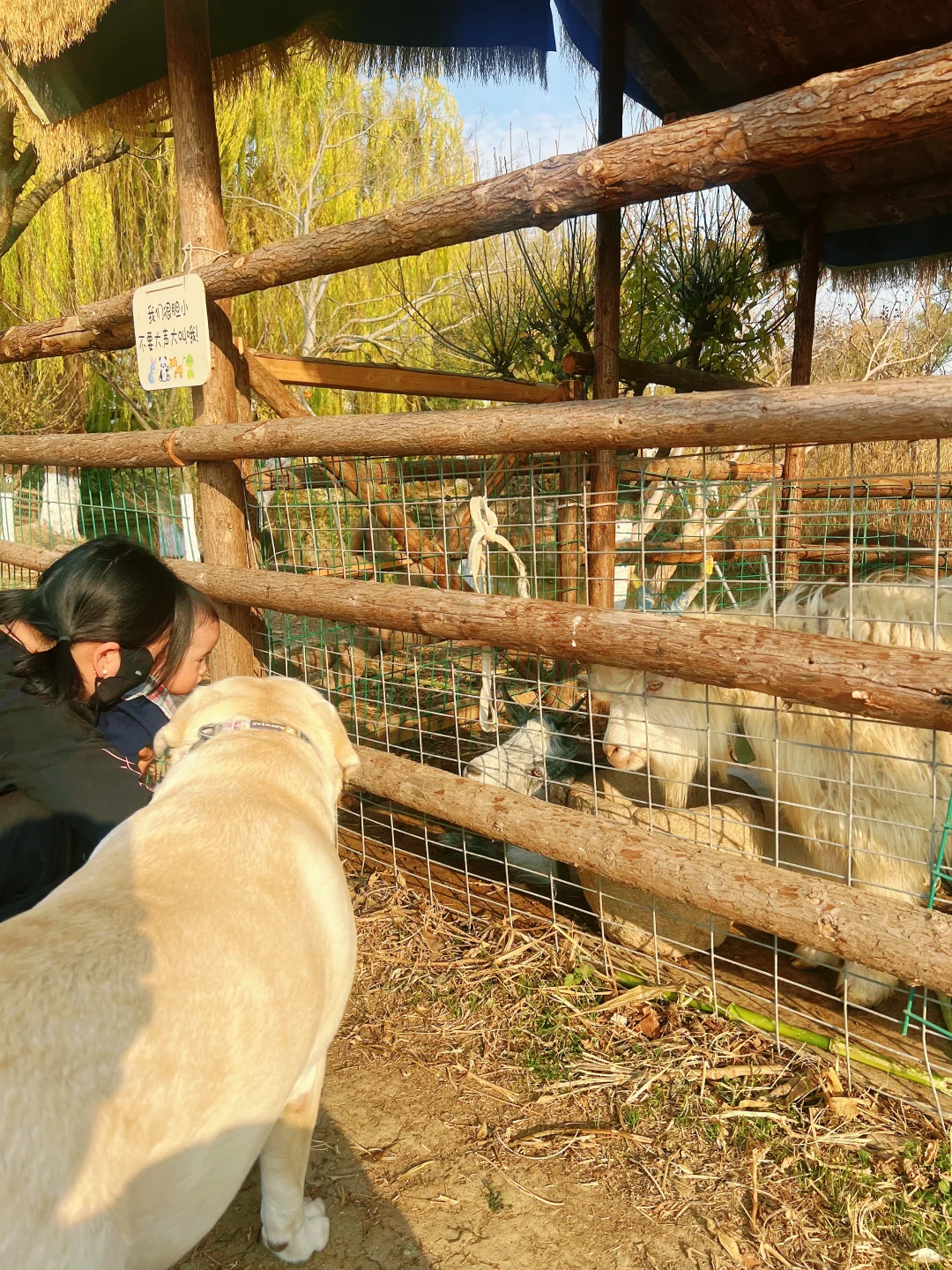 杭州开车1.5h的景区|太适合遛娃遛狗啦