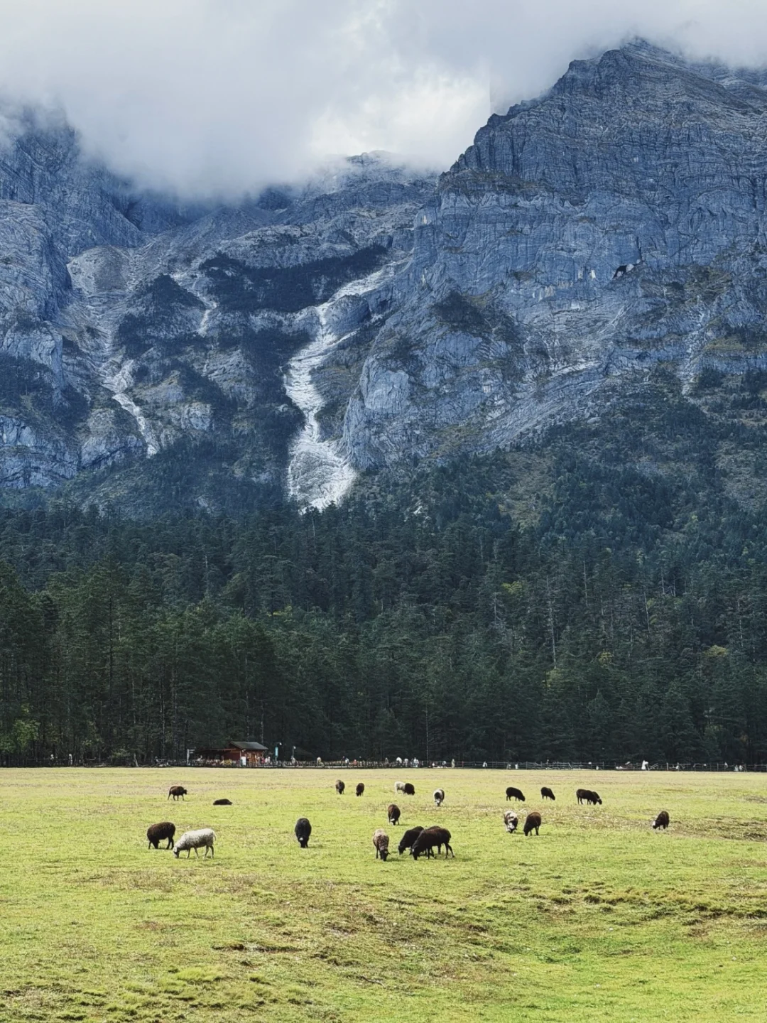 玉龙雪山一日游 日照金山+冰川公园+云杉坪