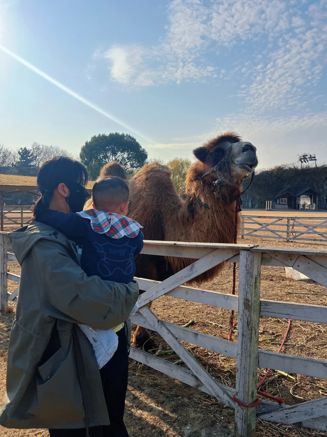 杭州开车1.5h的景区|太适合遛娃遛狗啦