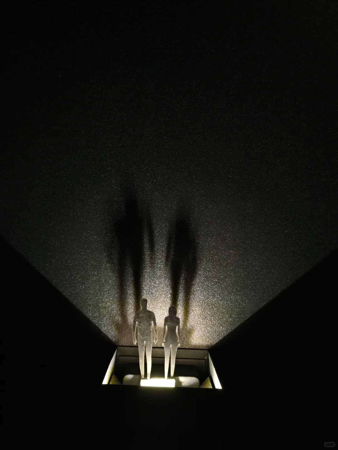 上海天文馆全新临展开幕！你抢到票了吗？