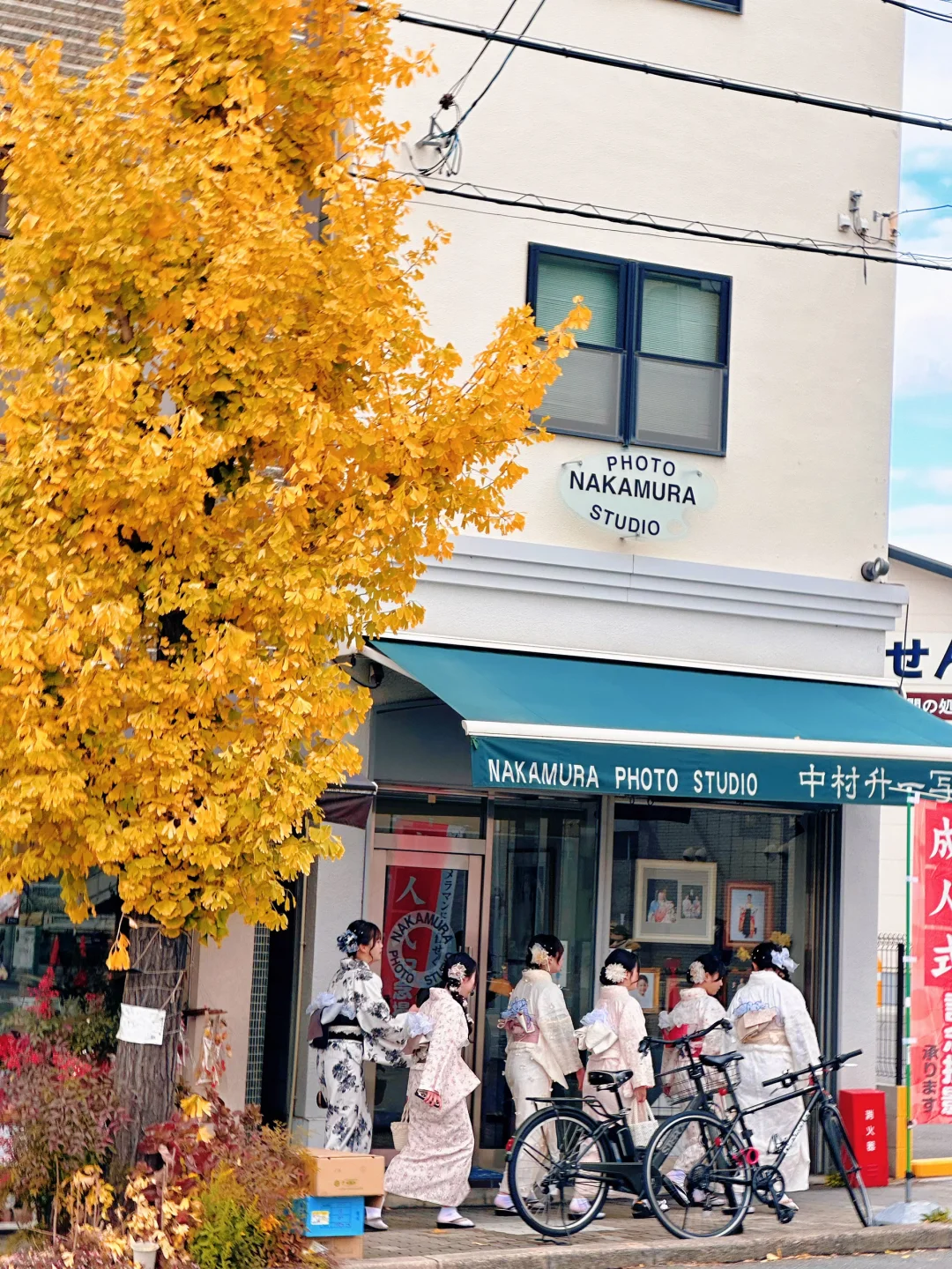 用实况打开红叶季🍁京都真的没有对手🍂