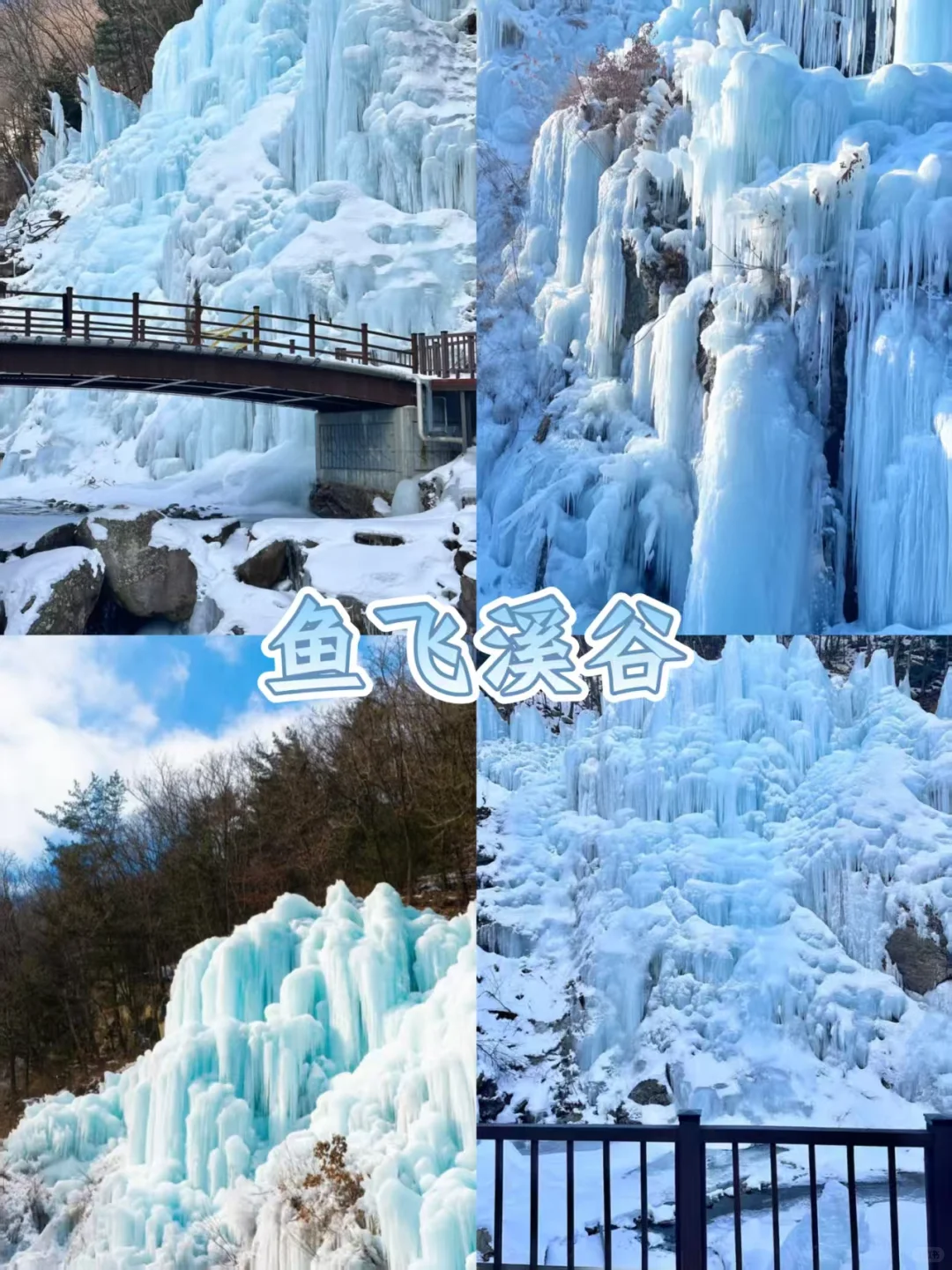 韩国冬季限定｜三个必打卡景点｜首尔往返