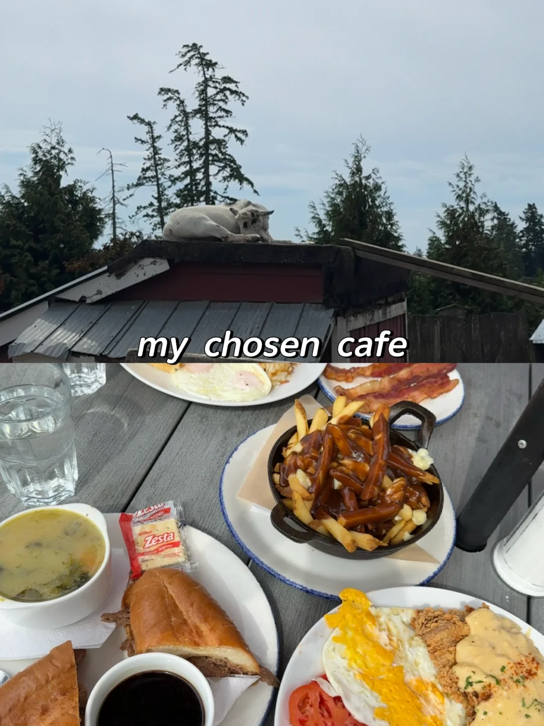 维多利亚🇨🇦🍂必去景点+周边游