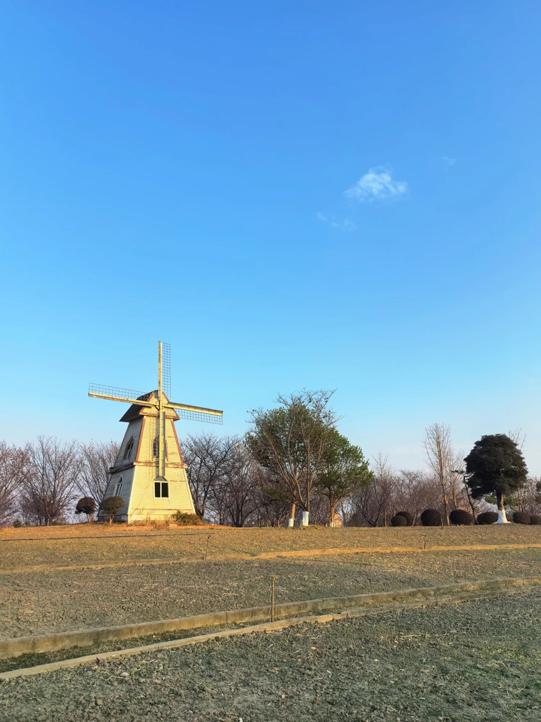 杭州开车1.5h的景区|太适合遛娃遛狗啦