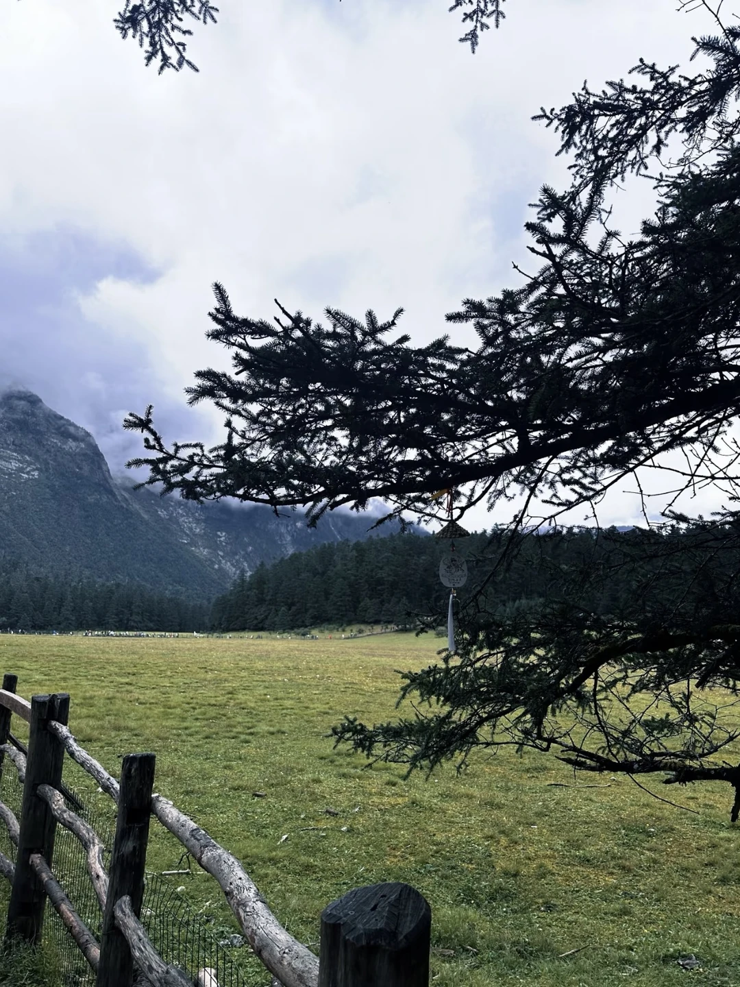 玉龙雪山一日游 日照金山+冰川公园+云杉坪