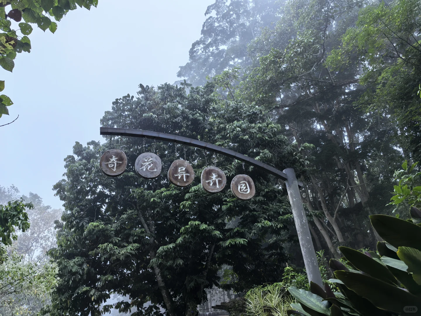 版纳必玩的两个景点