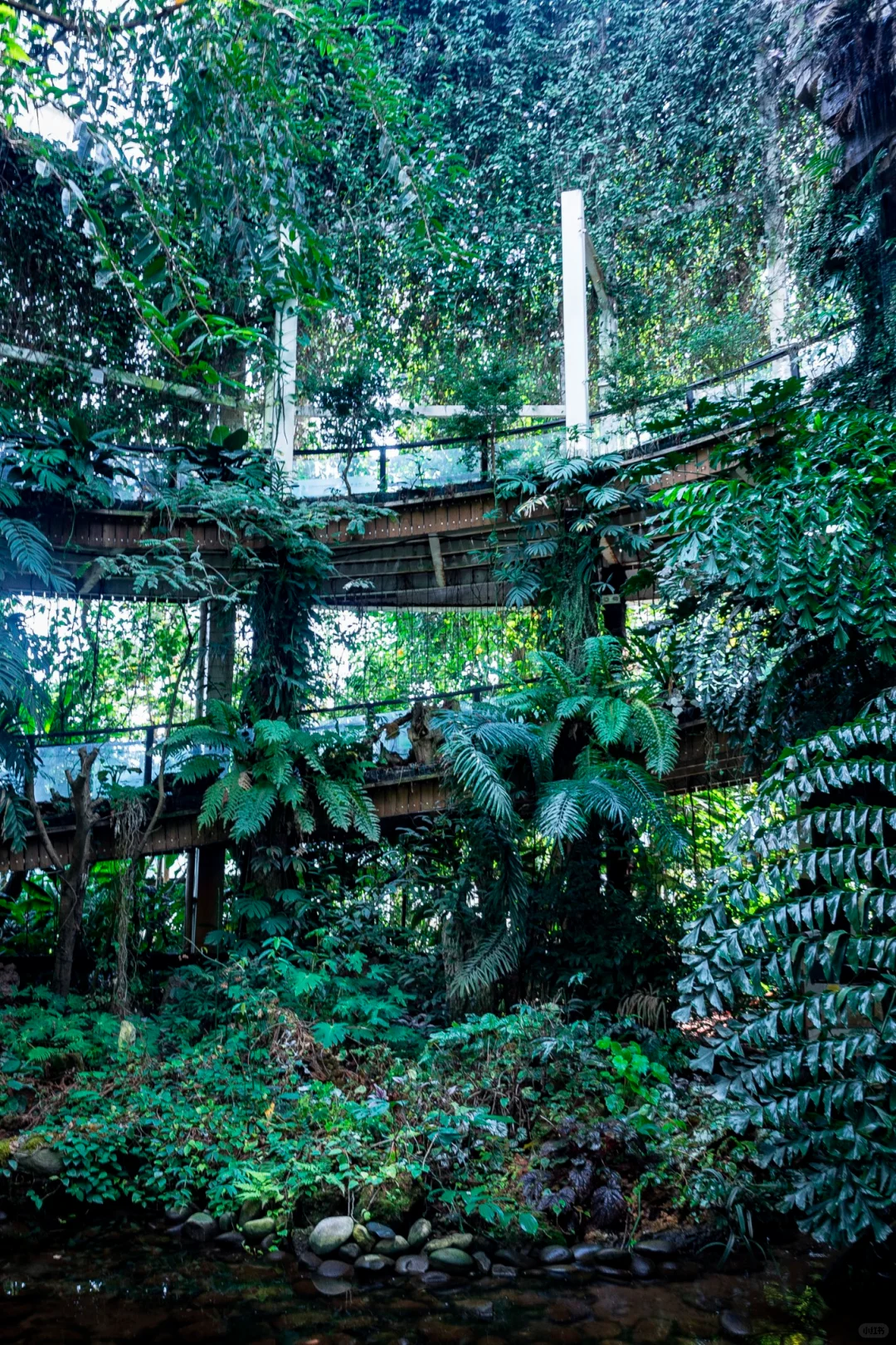 植物爱好者的天堂，昆明必玩景点扶荔宫攻略