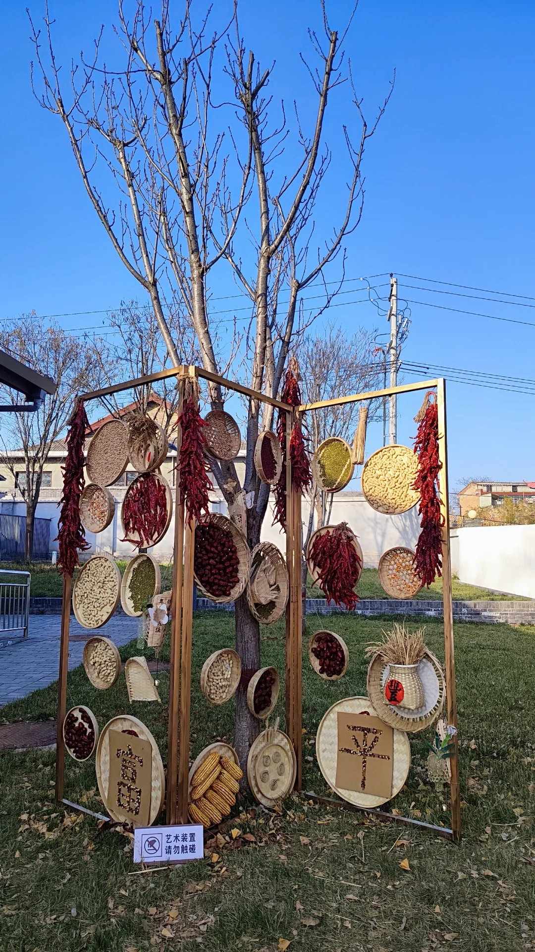 周末去哪儿09‖富平1日逛吃攻略🍂