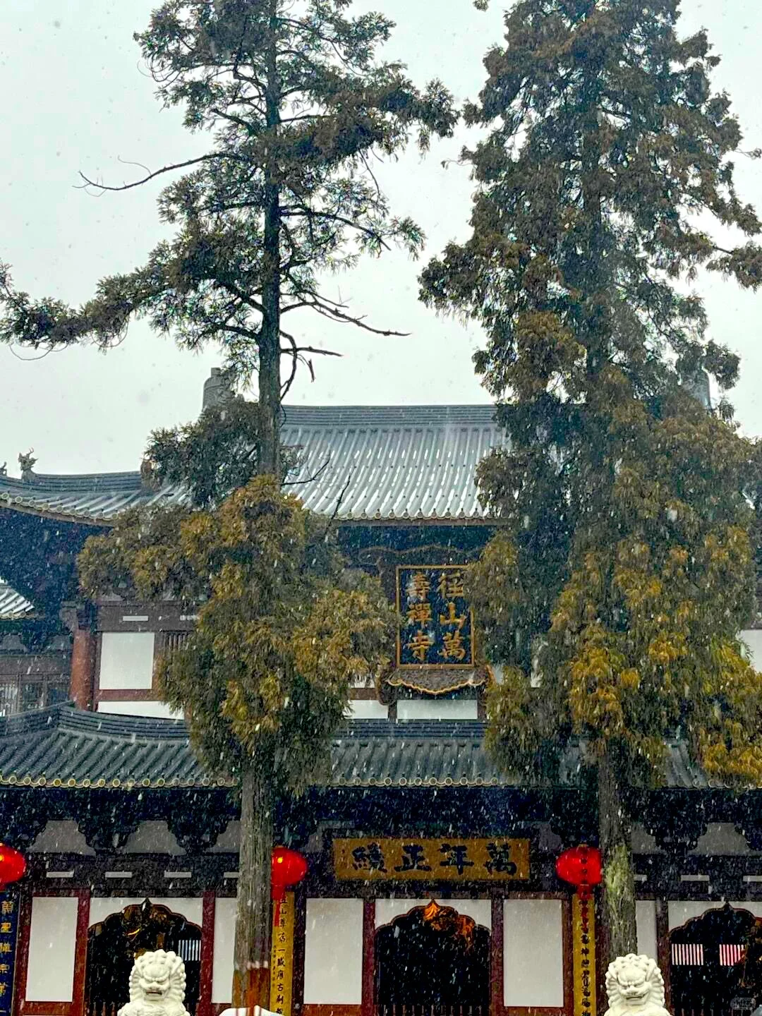 打工人必看❗️安吉冬天赏雪疗愈指南