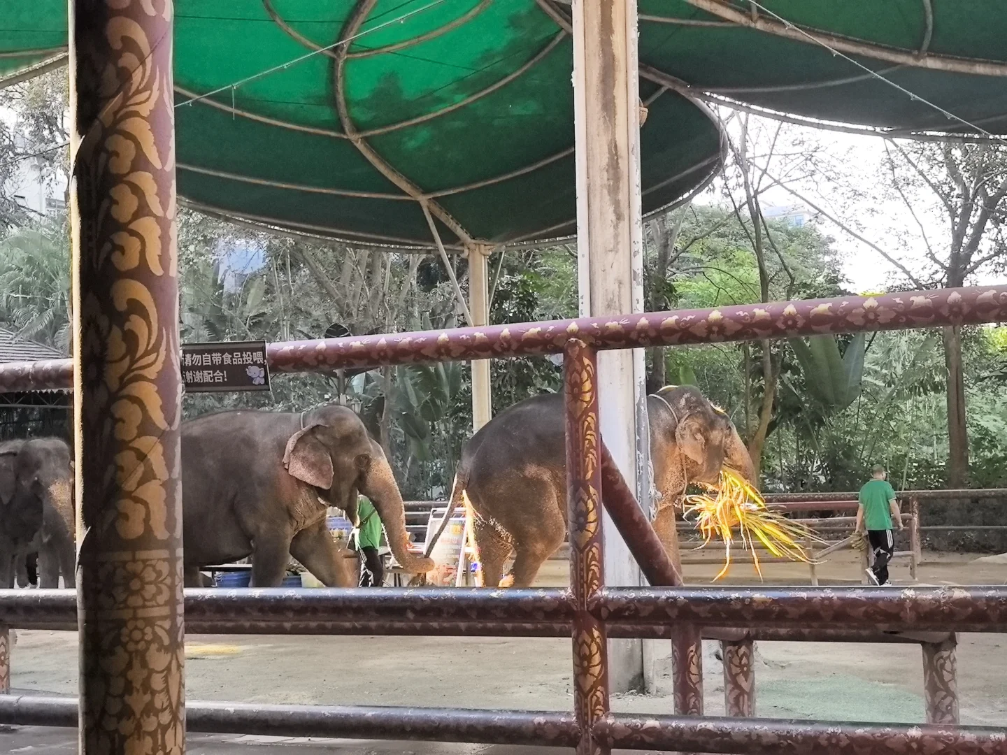 版纳必玩的两个景点