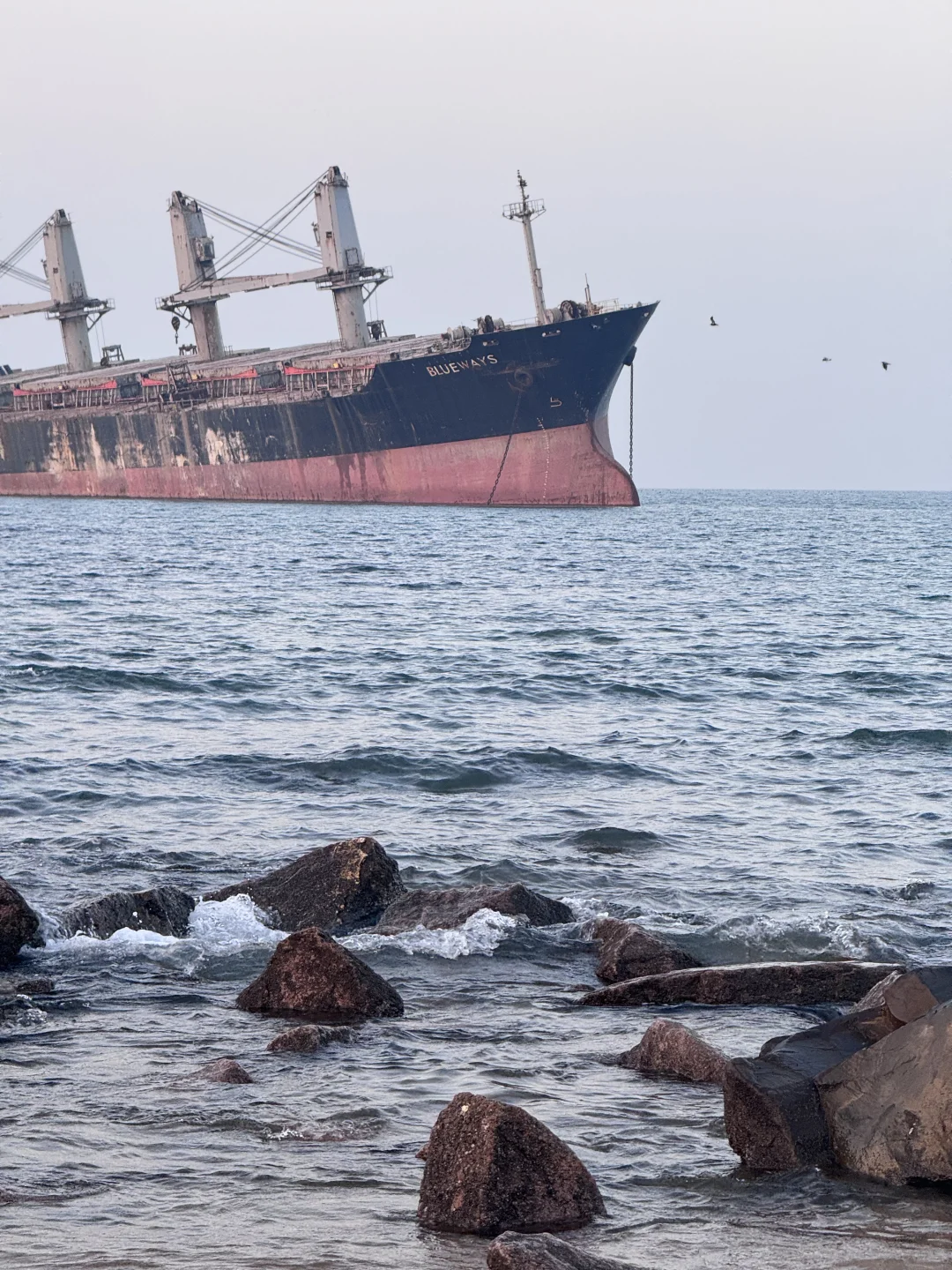 不去青岛，去威海吧🌊