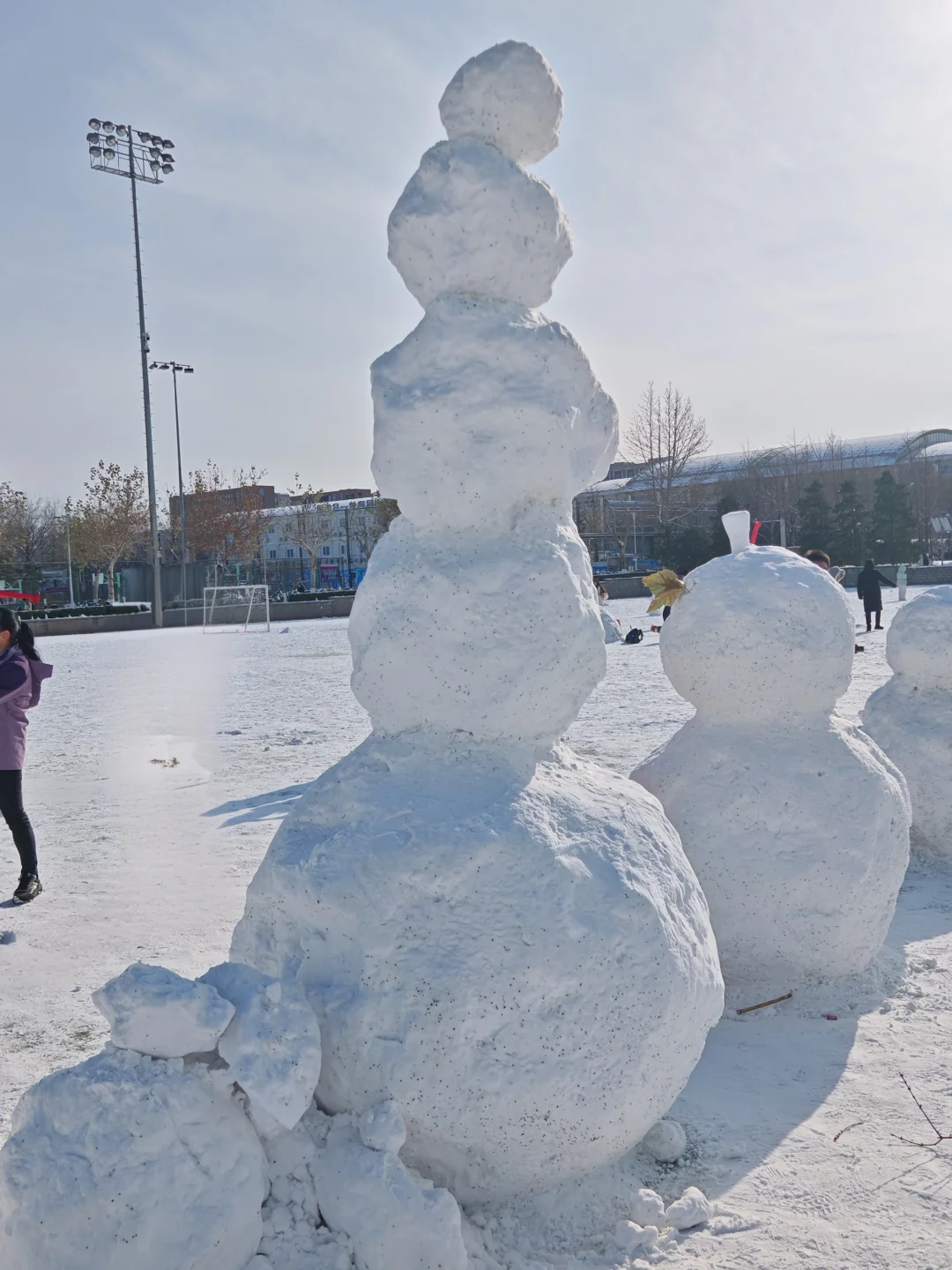 已严肃参观清华紫操