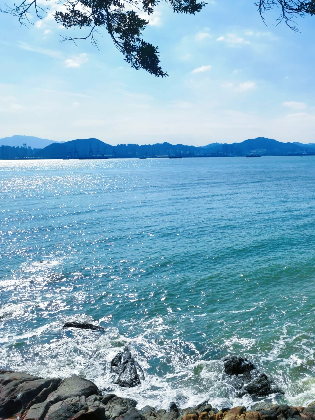 📍鼓浪屿的浪漫，花与海各占一半