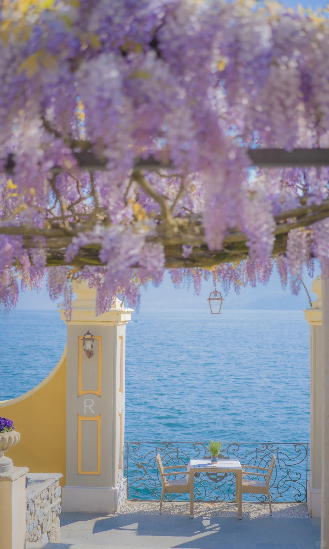 用中画幅哈苏拍照的第一年 📷