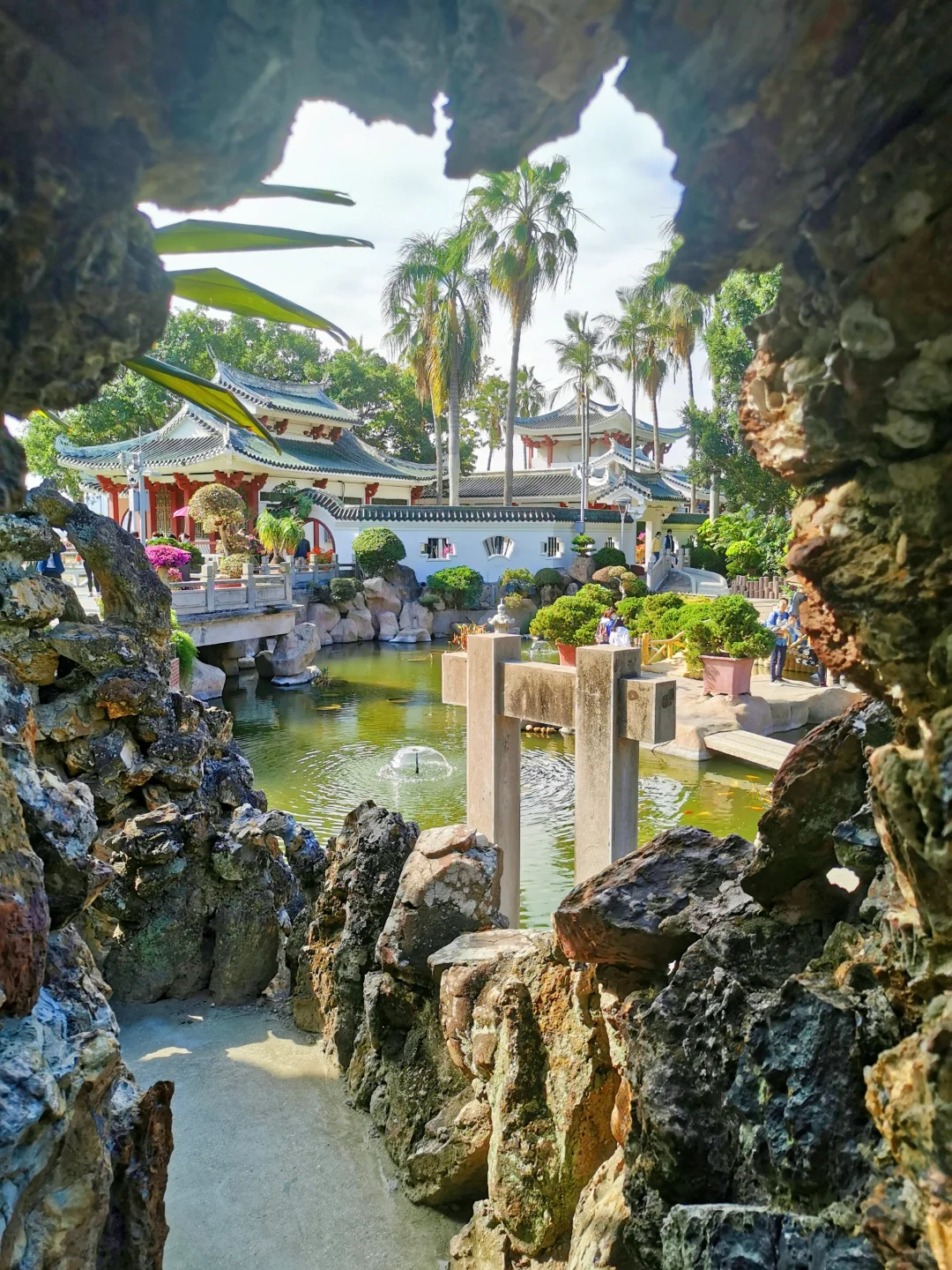 📍鼓浪屿的浪漫，花与海各占一半