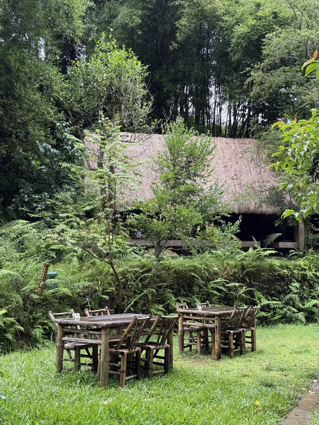 腾冲旅行小记｜吃、住、游玩、都分享一点