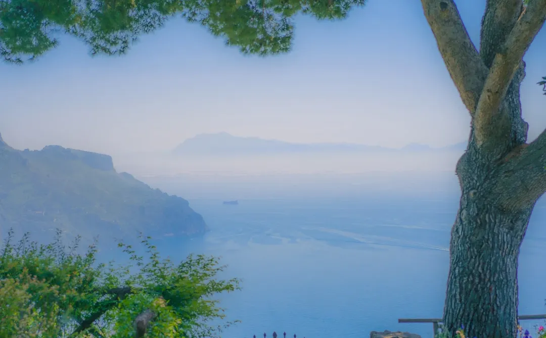 用中画幅哈苏拍照的第一年 📷