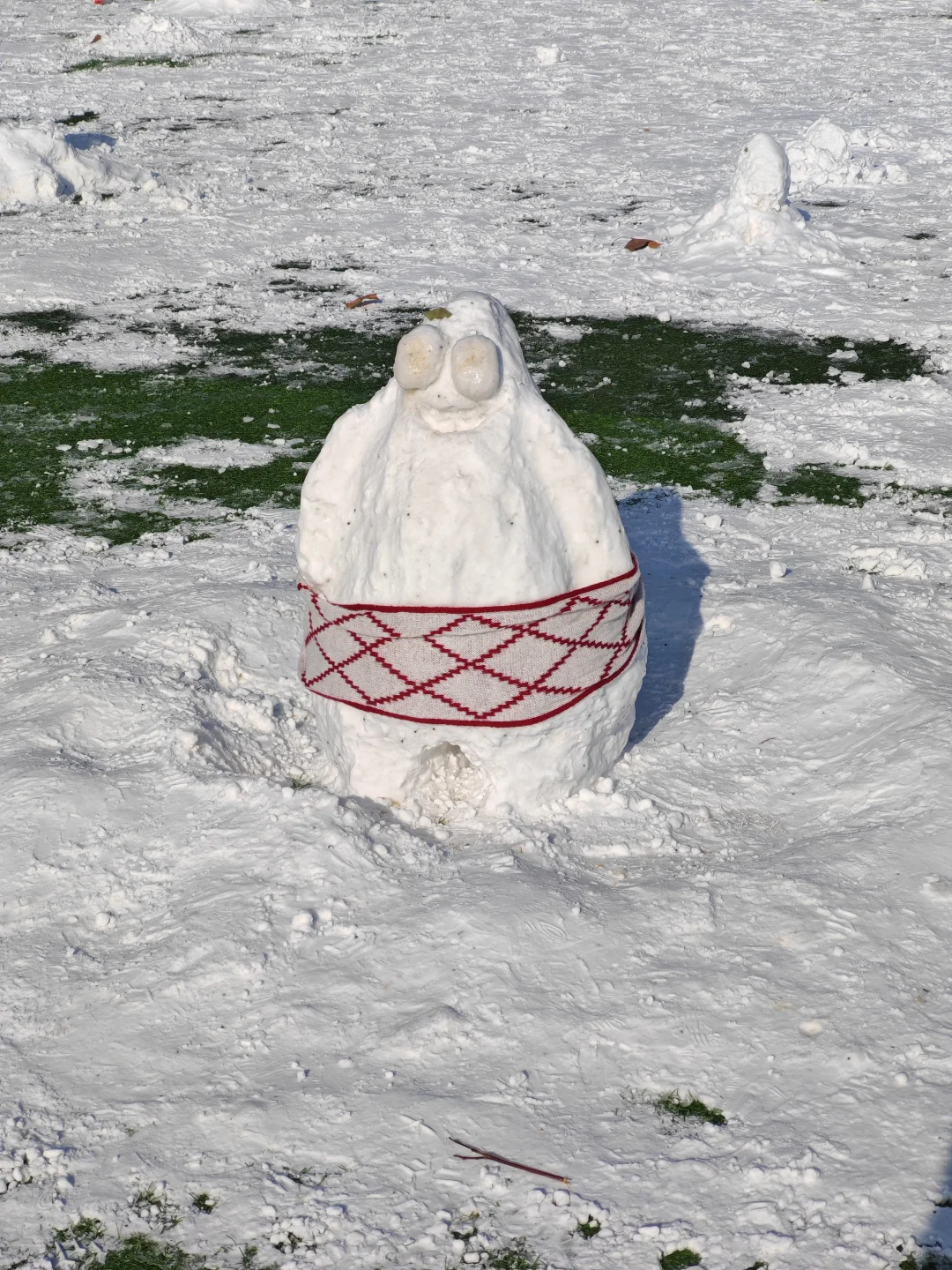 已严肃参观清华紫操