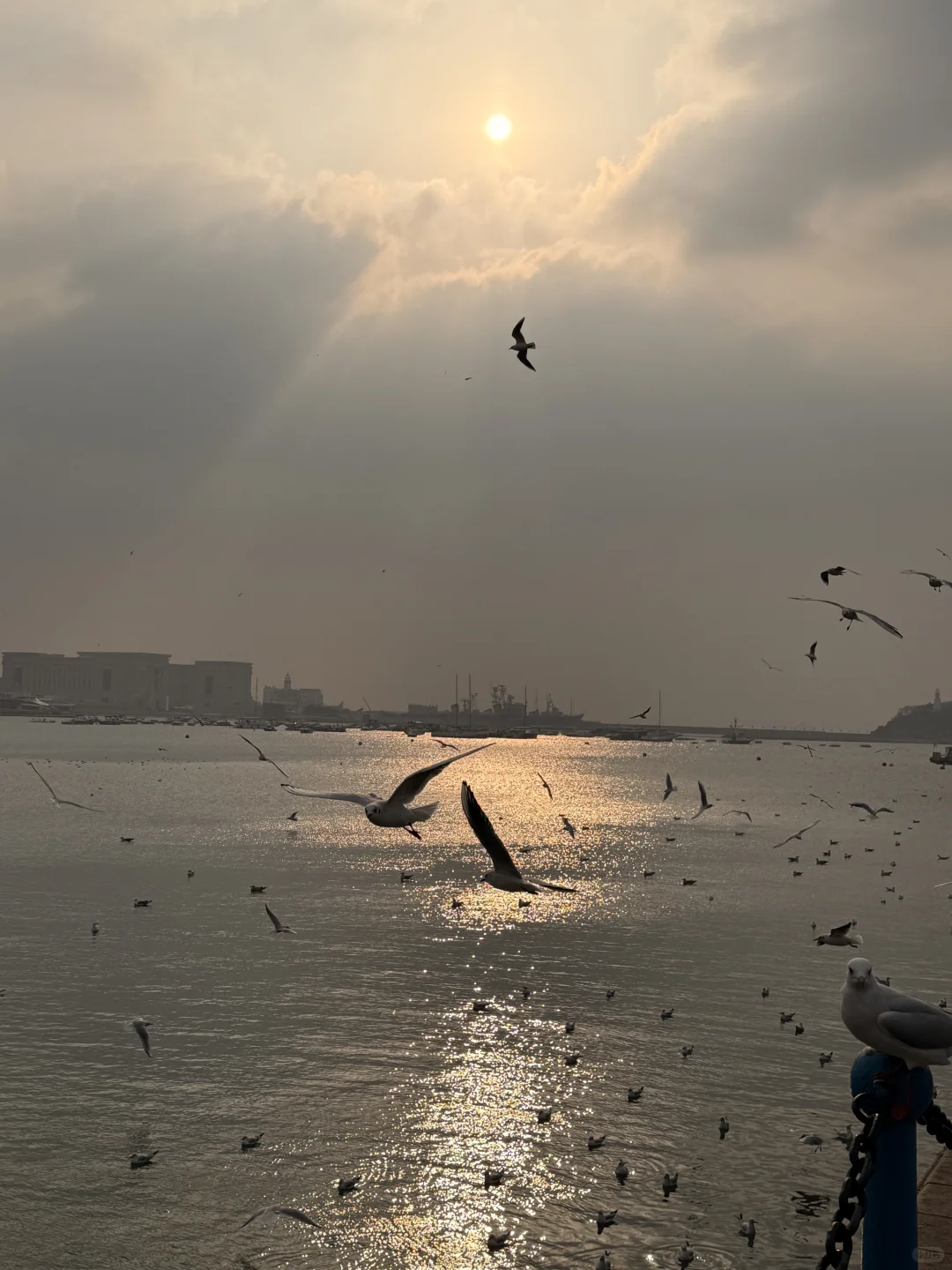 青岛旅游攻略Day2