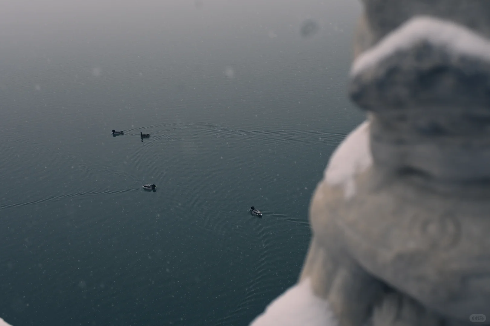 古法过冬丨上下一白