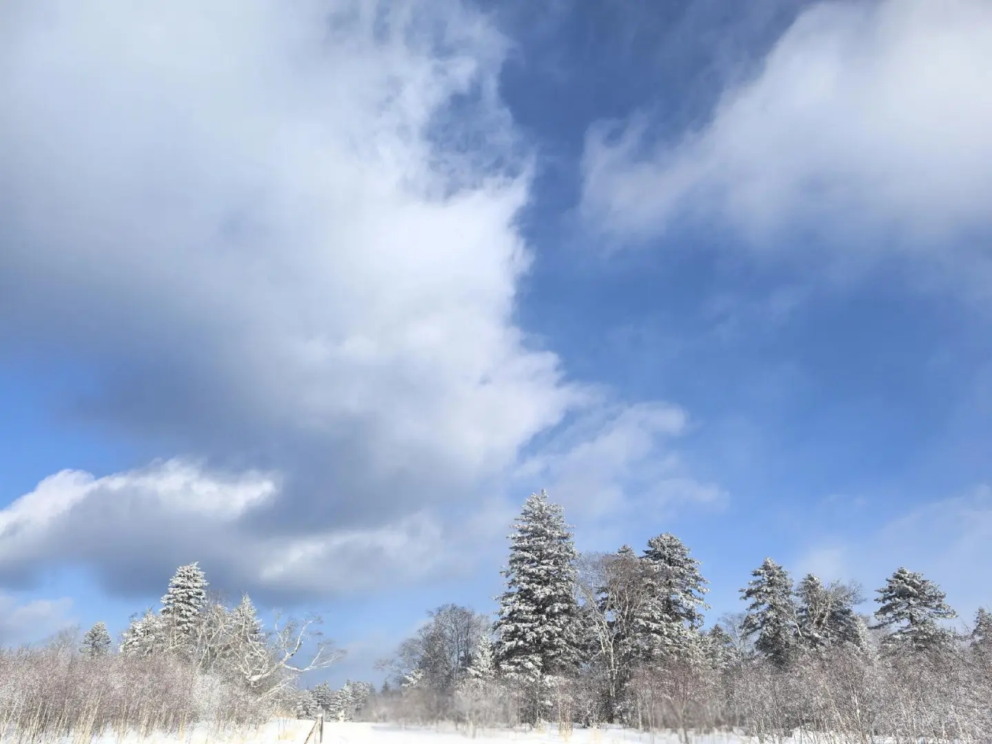 雪岭，是纳尼尔传奇跌进了现实的冰雪王国