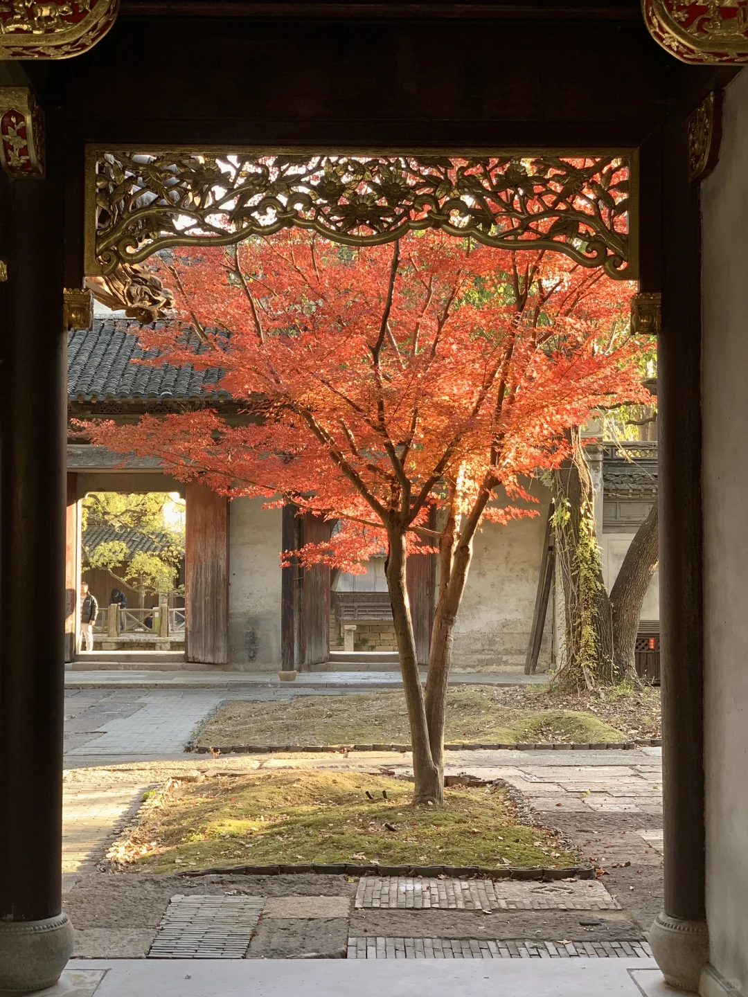 江浙沪严重被低估的宝藏古镇！！！（附攻略