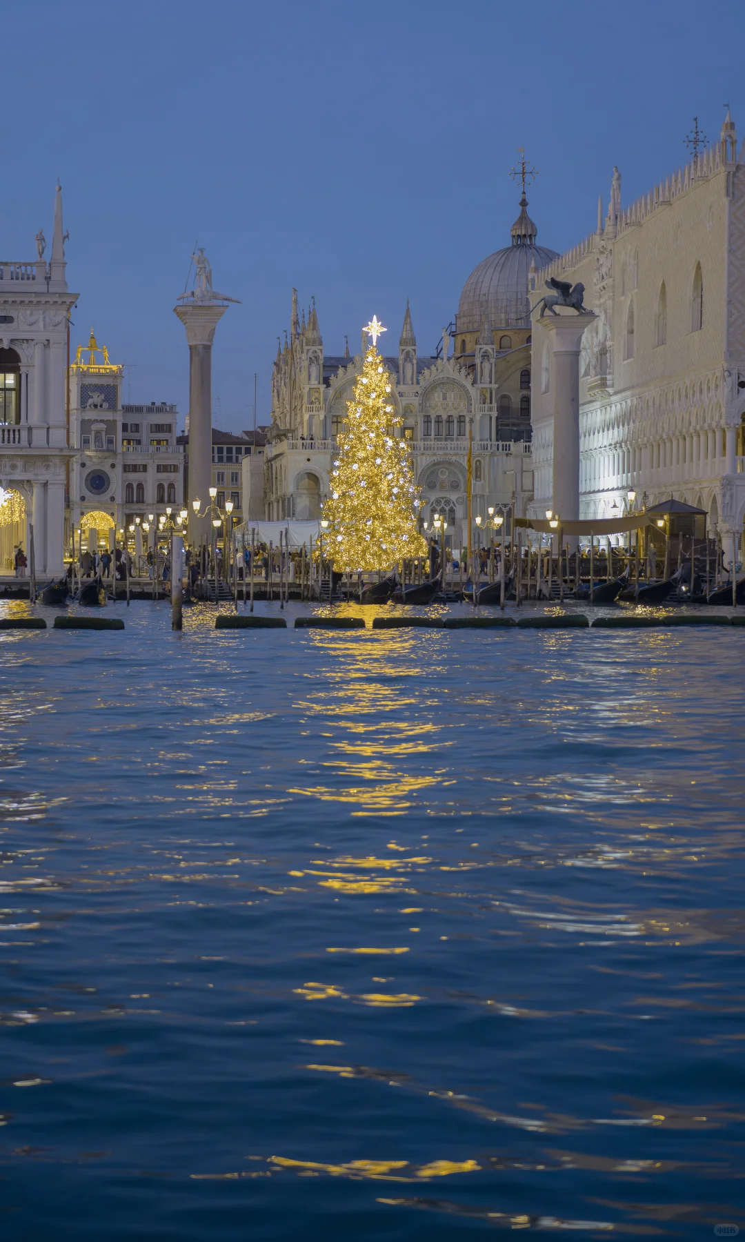 用中画幅哈苏拍照的第一年 📷