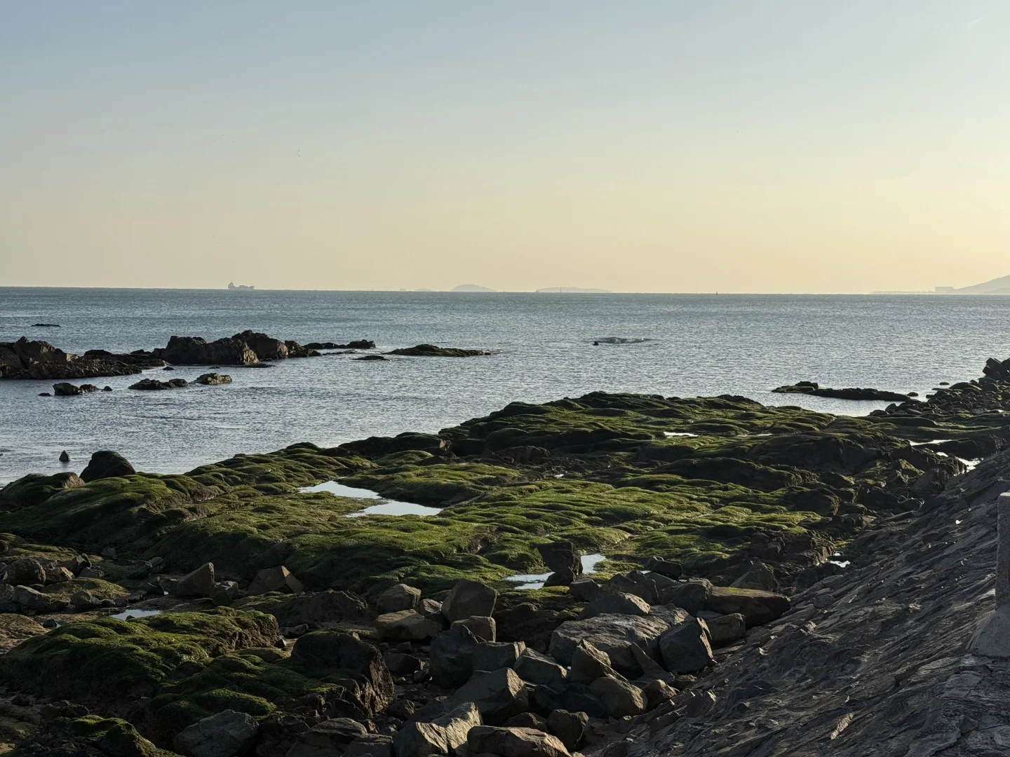 青岛旅游攻略Day2