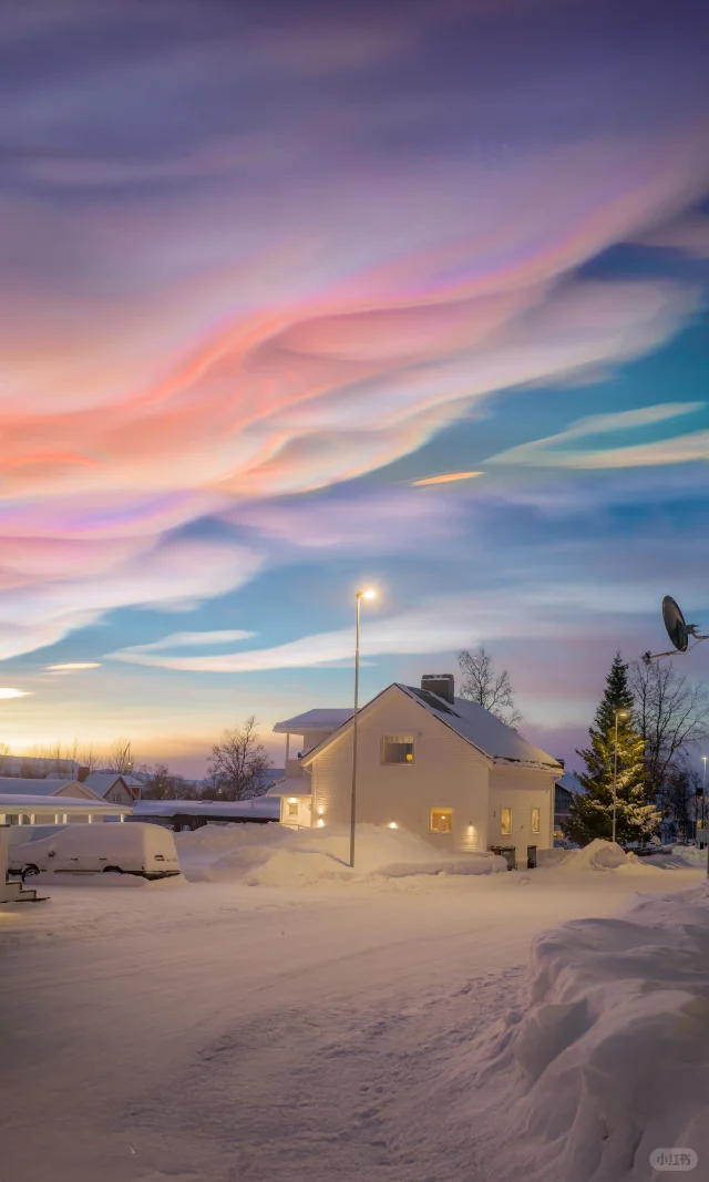 用中画幅哈苏拍照的第一年 📷