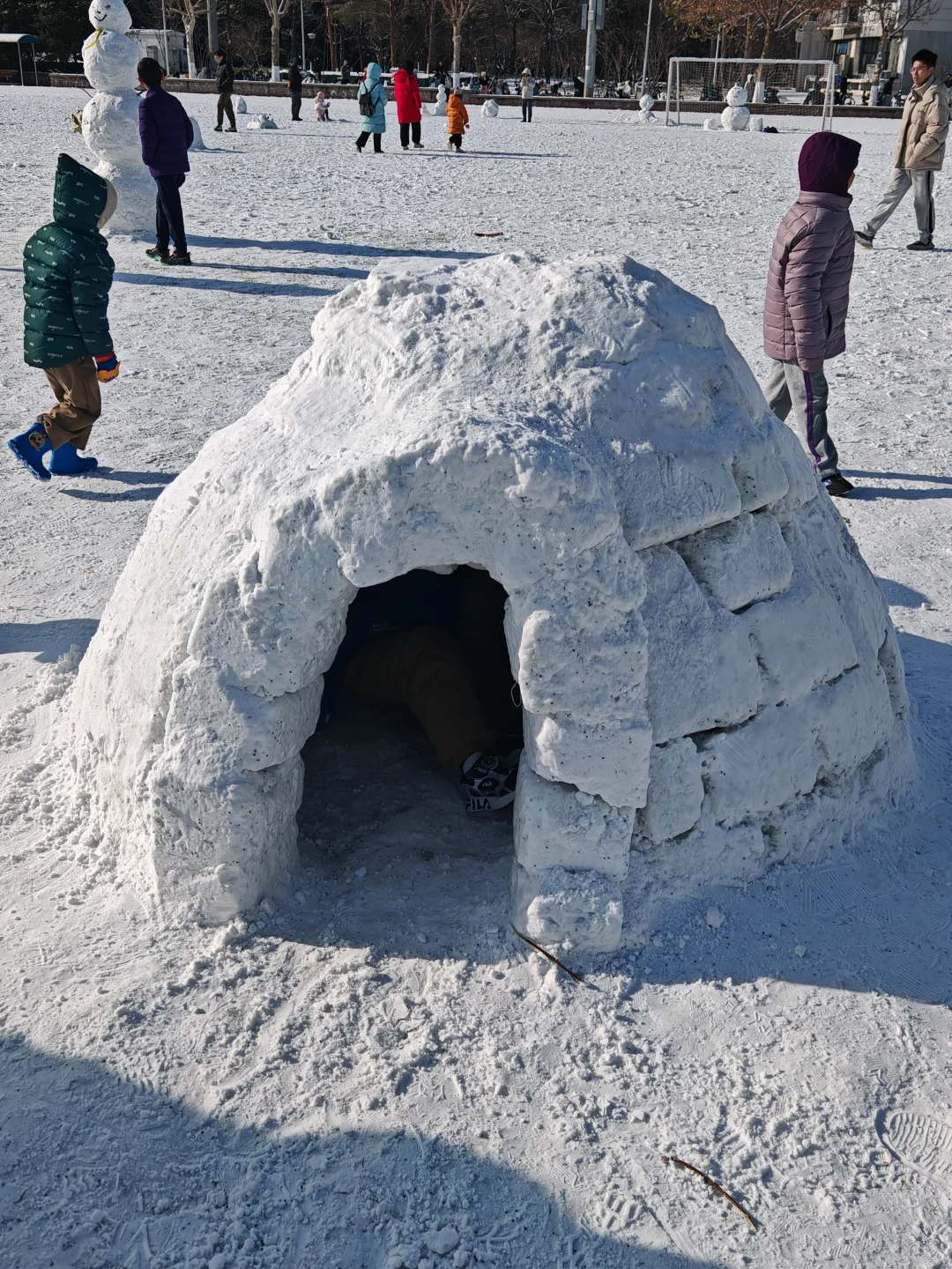 已严肃参观清华紫操