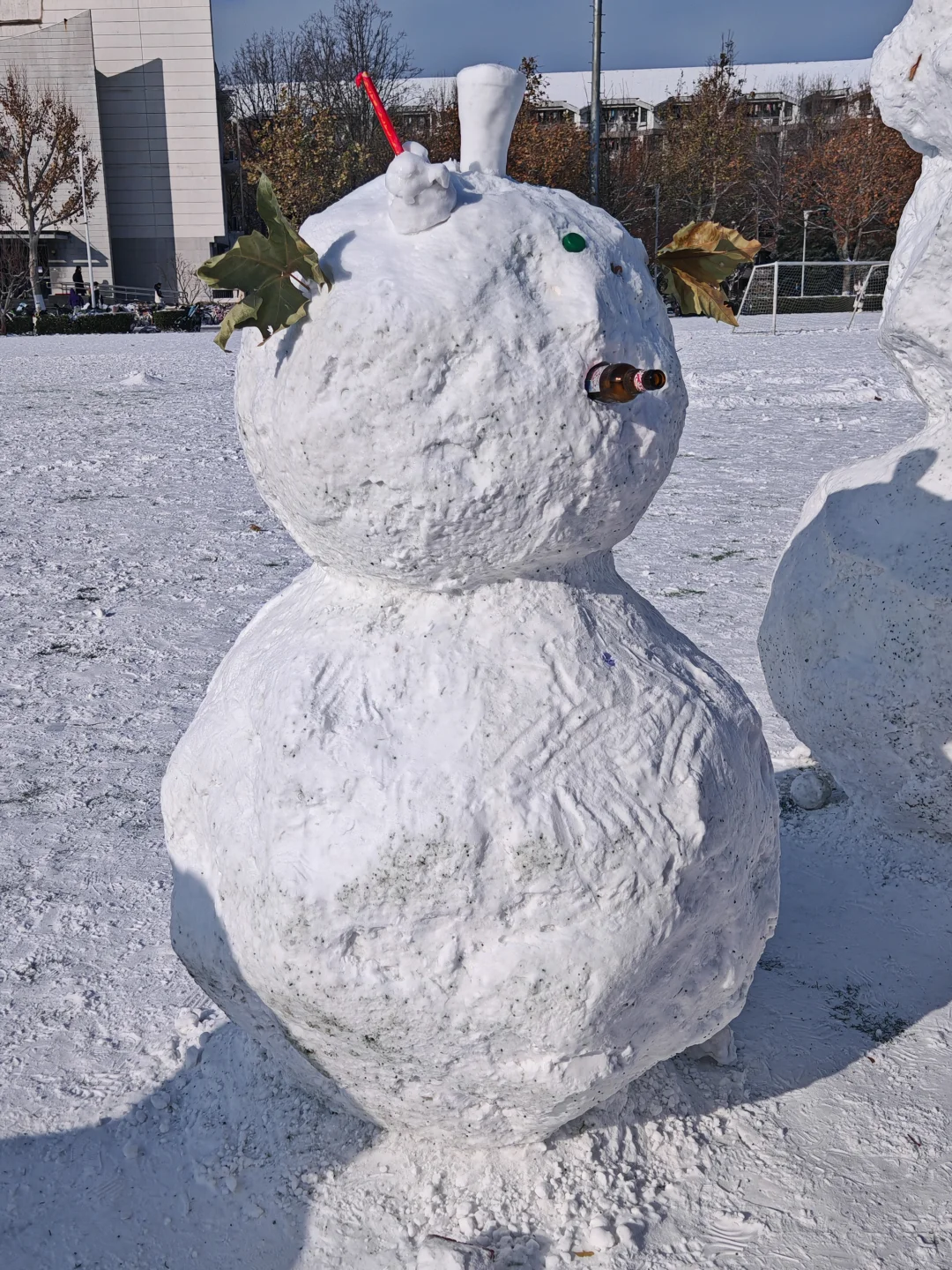 已严肃参观清华紫操