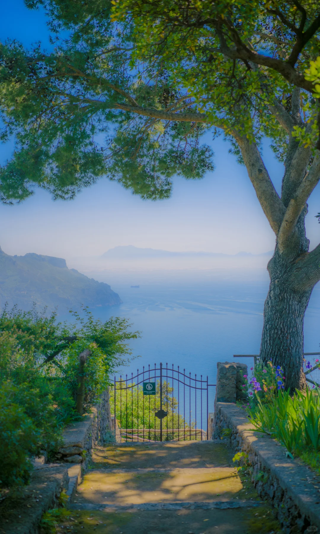 用中画幅哈苏拍照的第一年 📷