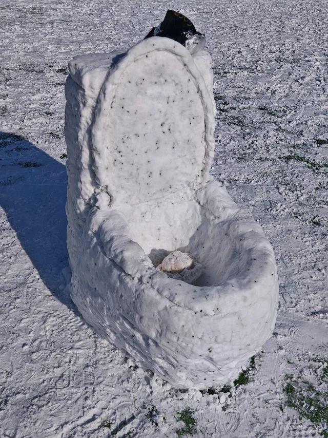 已严肃参观清华紫操