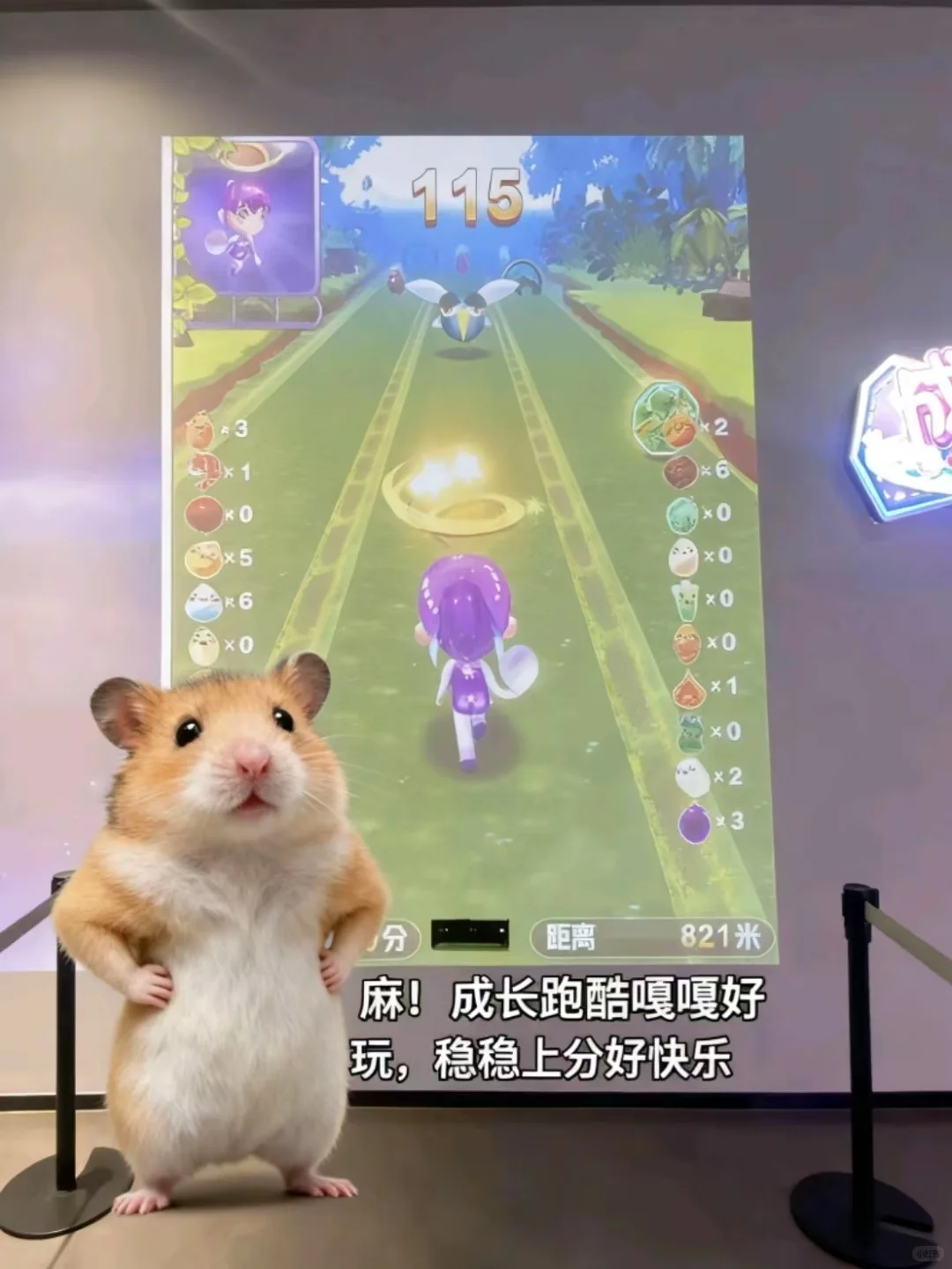 麻！当你看到这封信的时候...