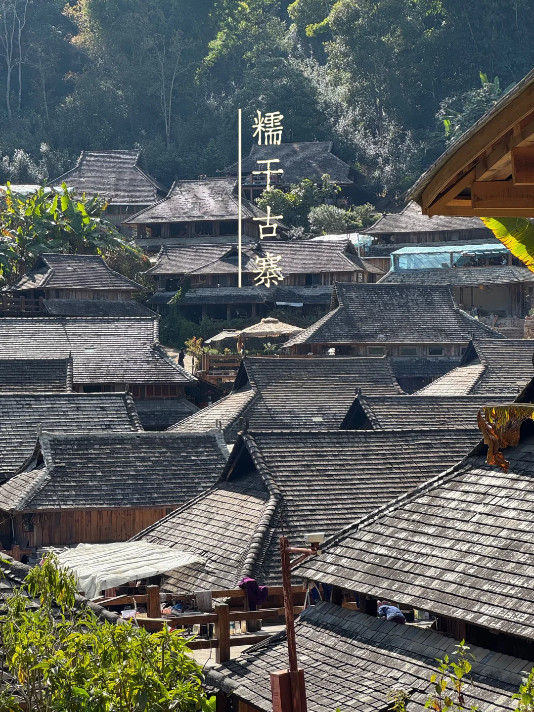 最值得去的小众旅游地: 景迈山，早去早享受
