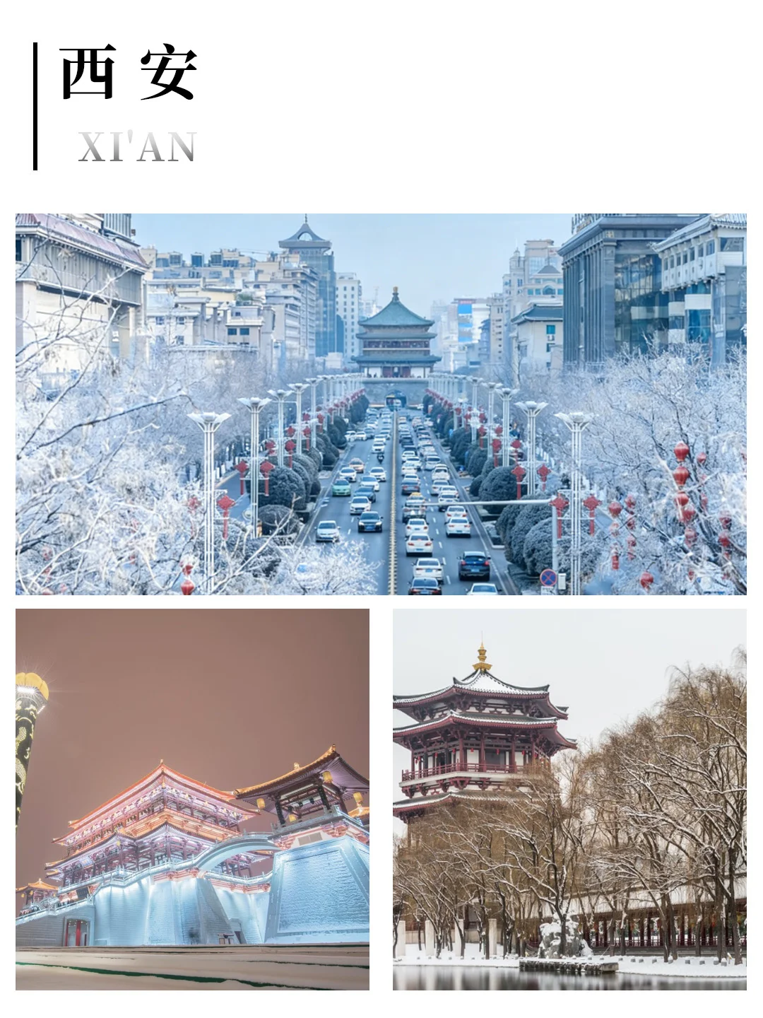 去西安旅游，选对方式太重要了‼️