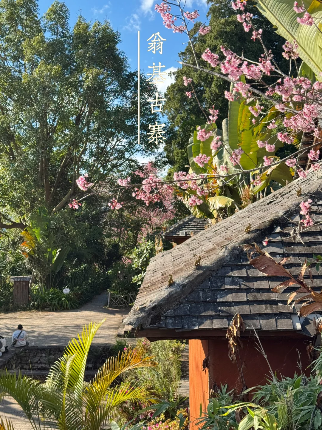 最值得去的小众旅游地: 景迈山，早去早享受