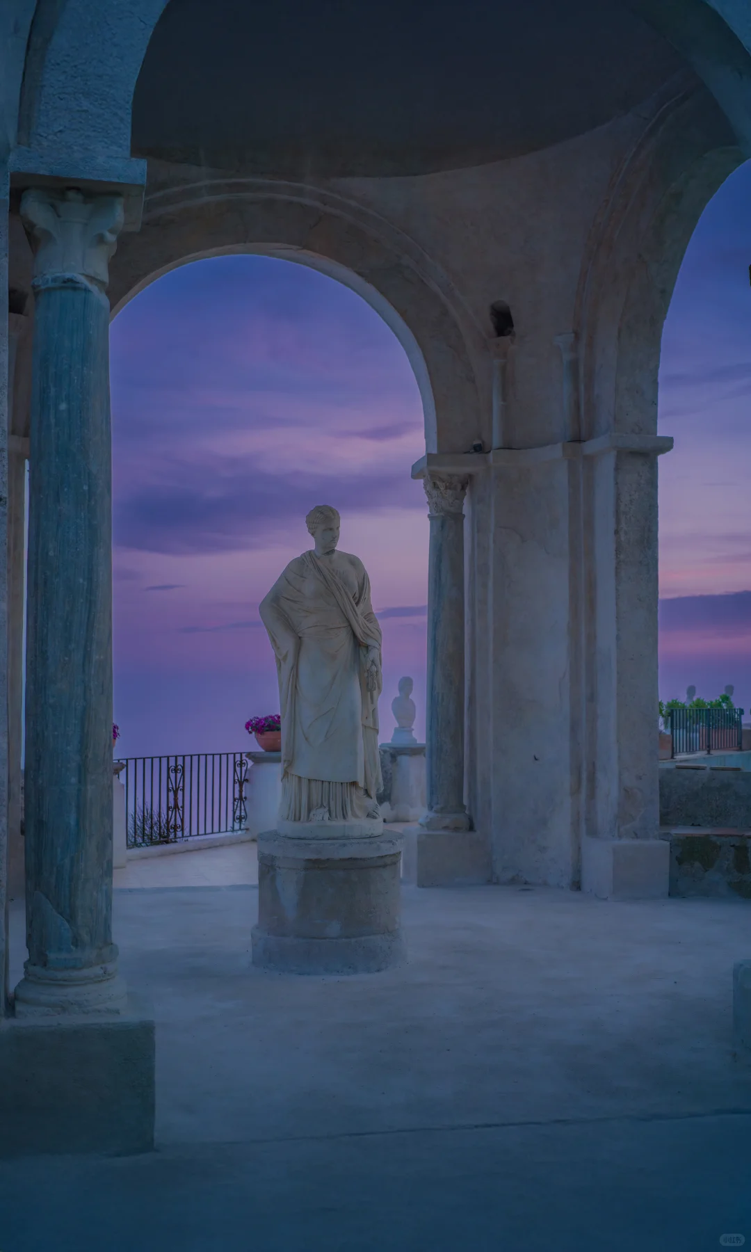 用中画幅哈苏拍照的第一年 📷