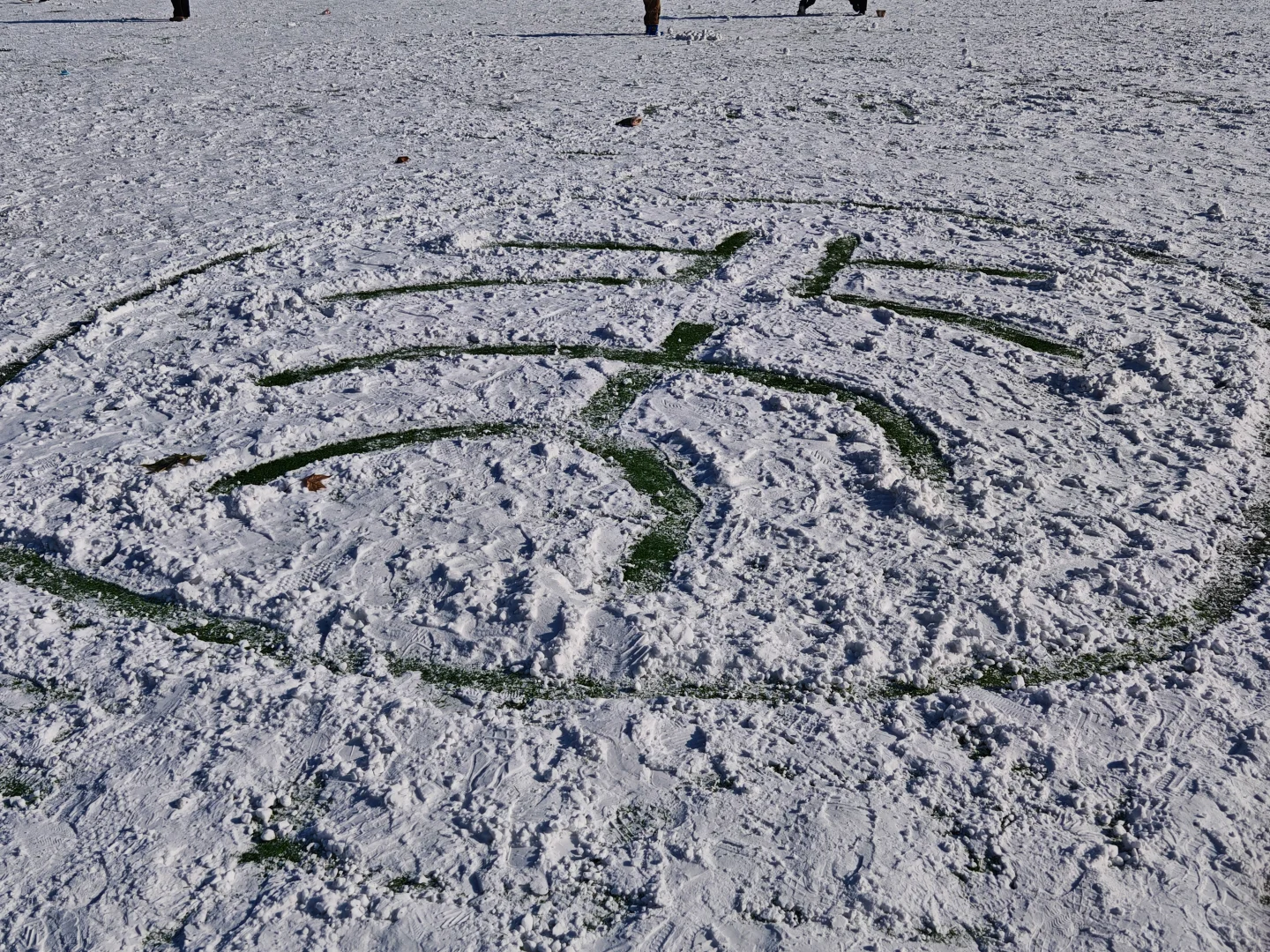 已严肃参观清华紫操