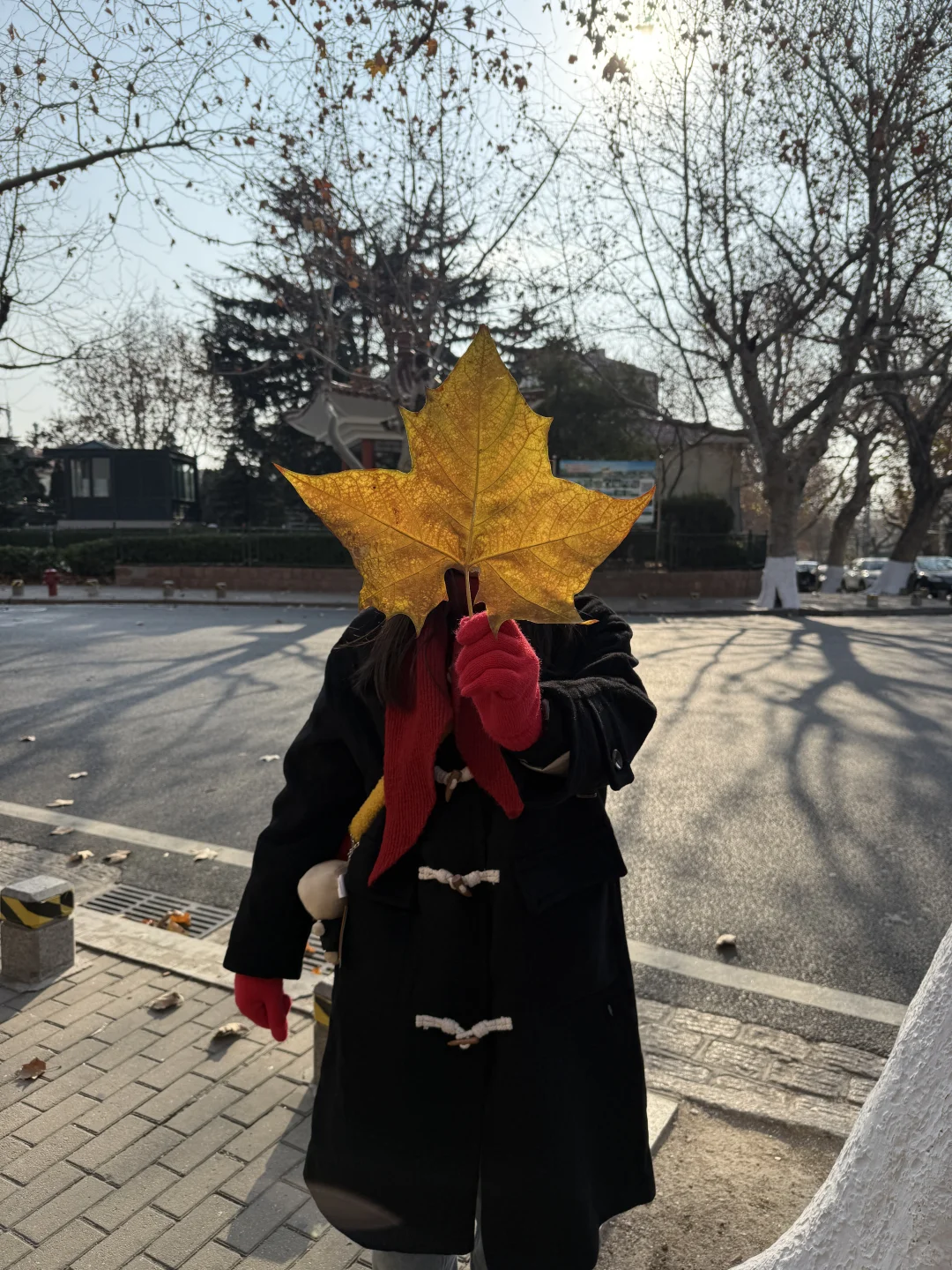 青岛旅游攻略Day2