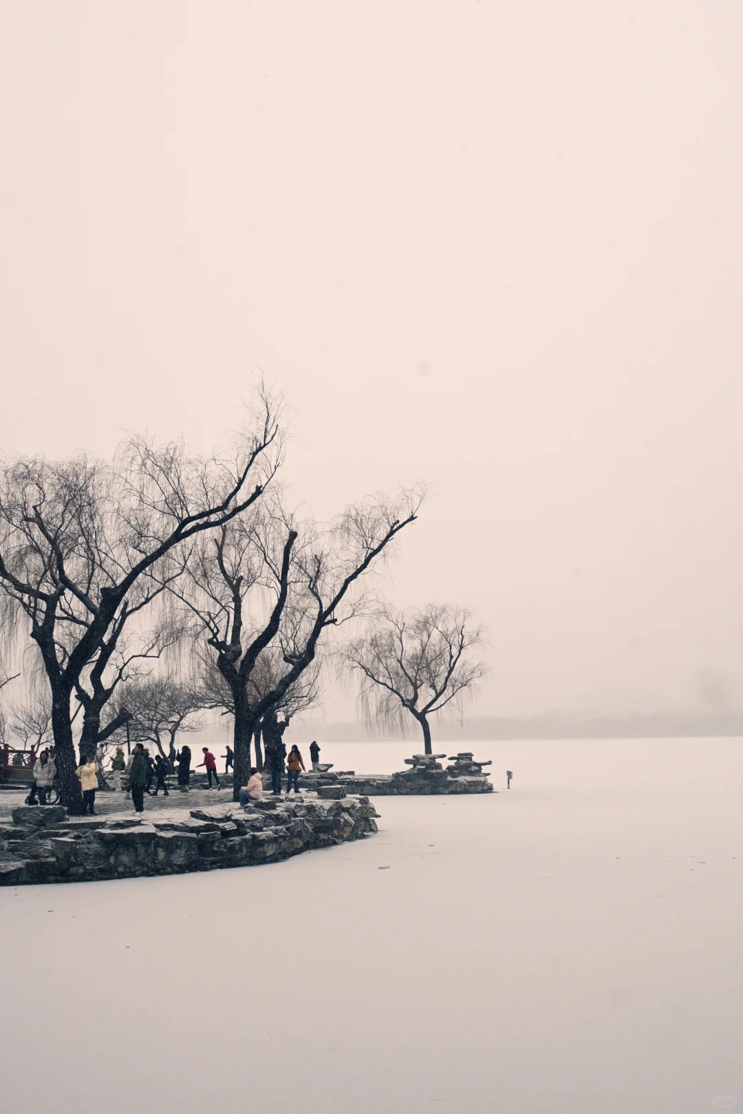 古法过冬丨上下一白