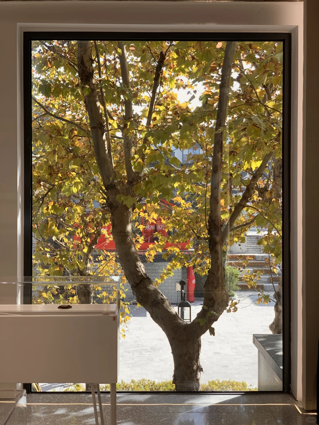 江浙沪严重被低估的宝藏古镇！！！（附攻略