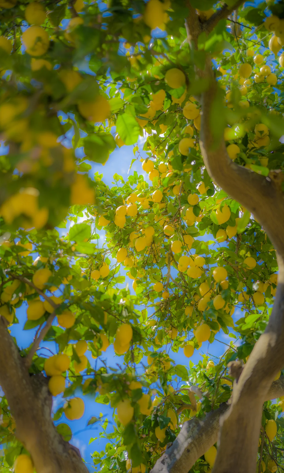 用中画幅哈苏拍照的第一年 📷