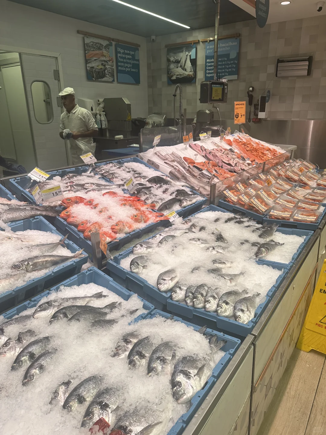 马德拉圣诞旅游攻略Day1