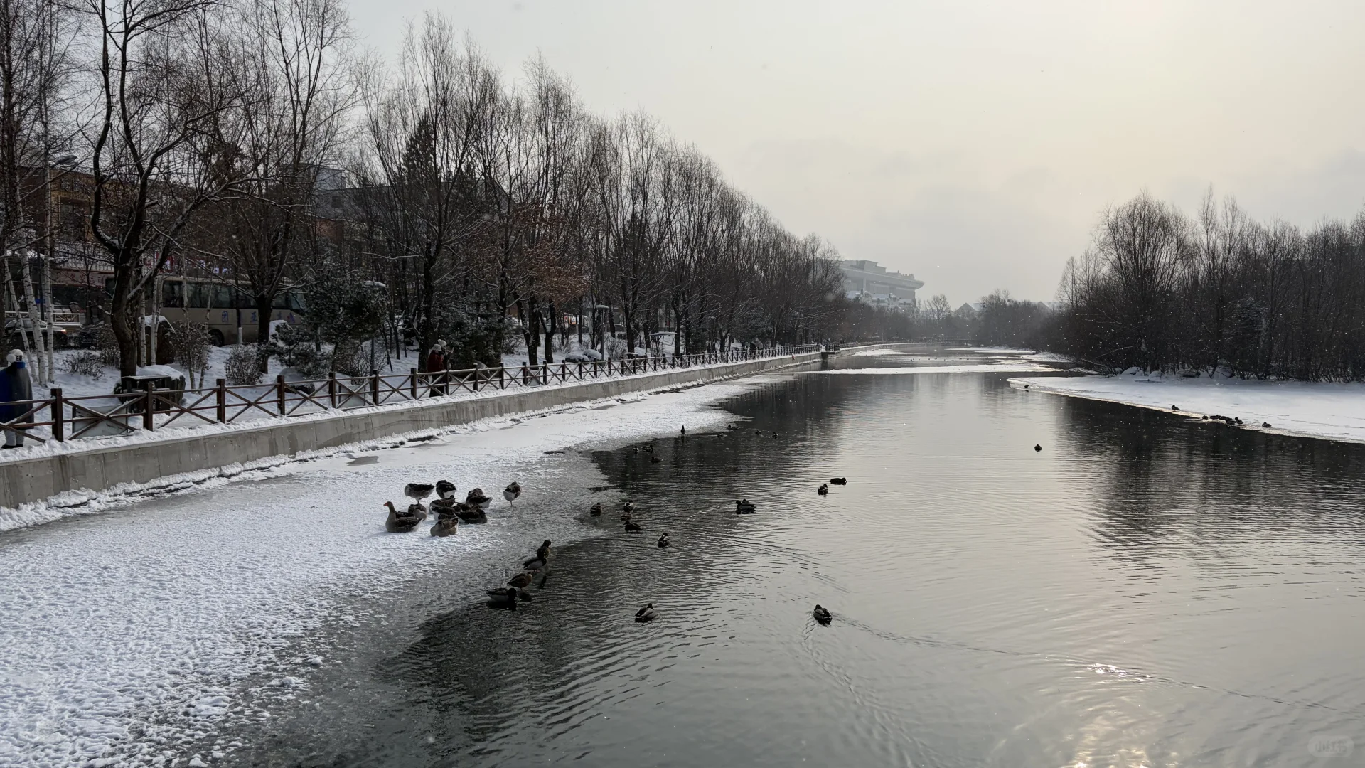 下个冬天，东北见！❄️❄️