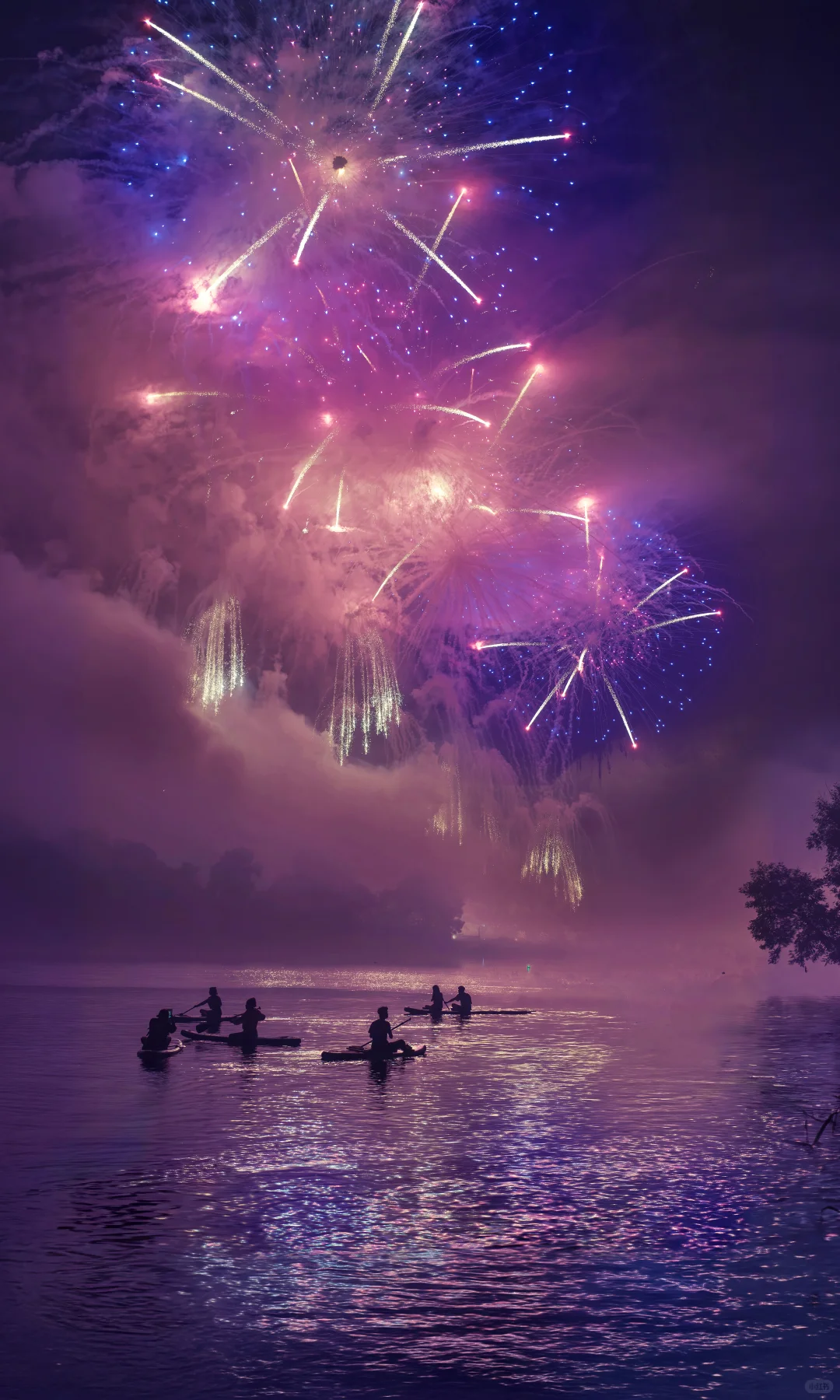 用中画幅哈苏拍照的第一年 📷