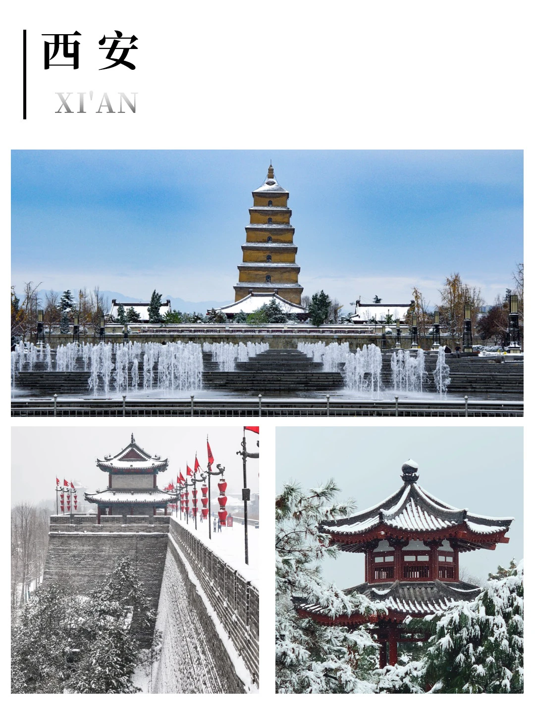 去西安旅游，选对方式太重要了‼️