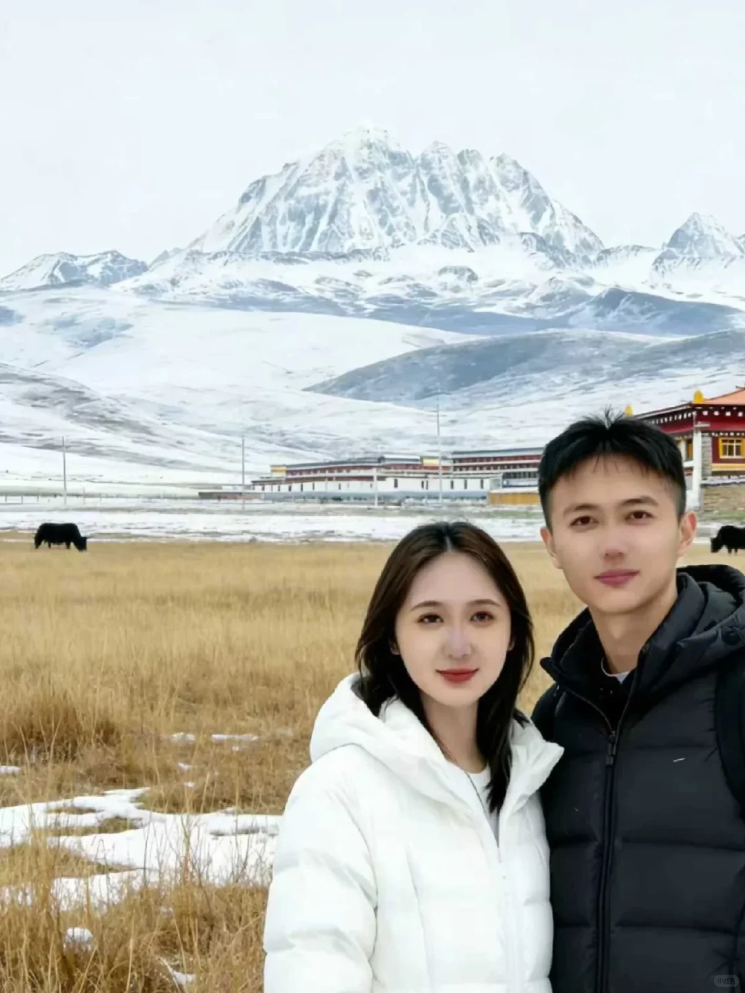 川西受冻已回（已被宰）内容很脏。。。