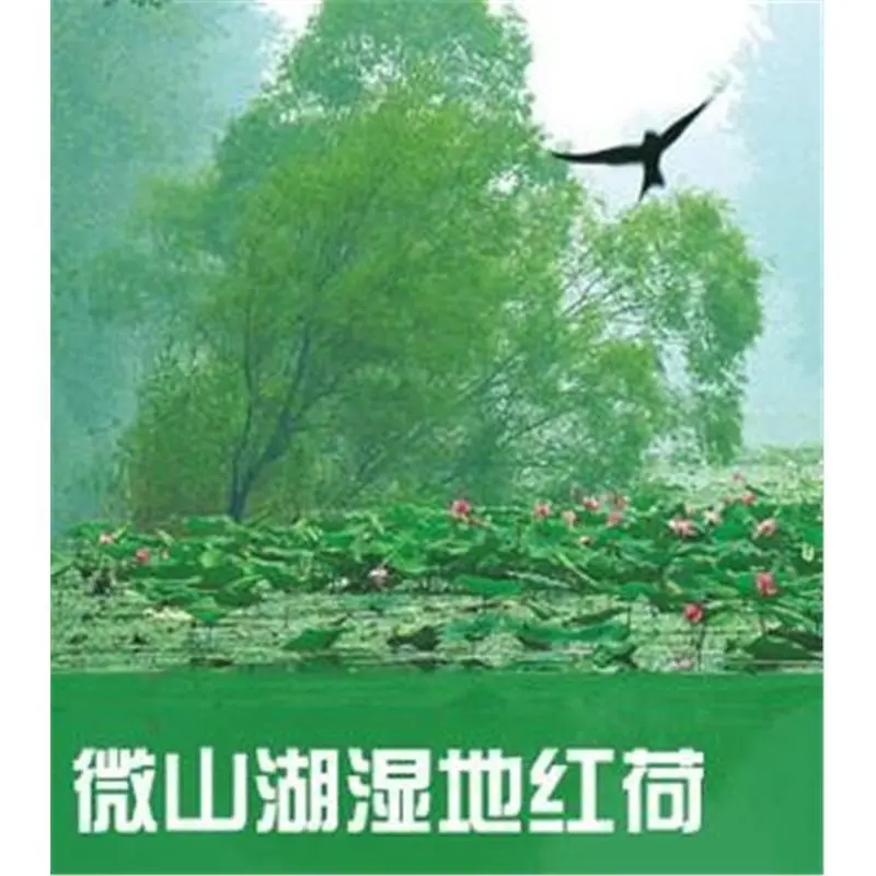 微山湖湿地红荷自助游攻略