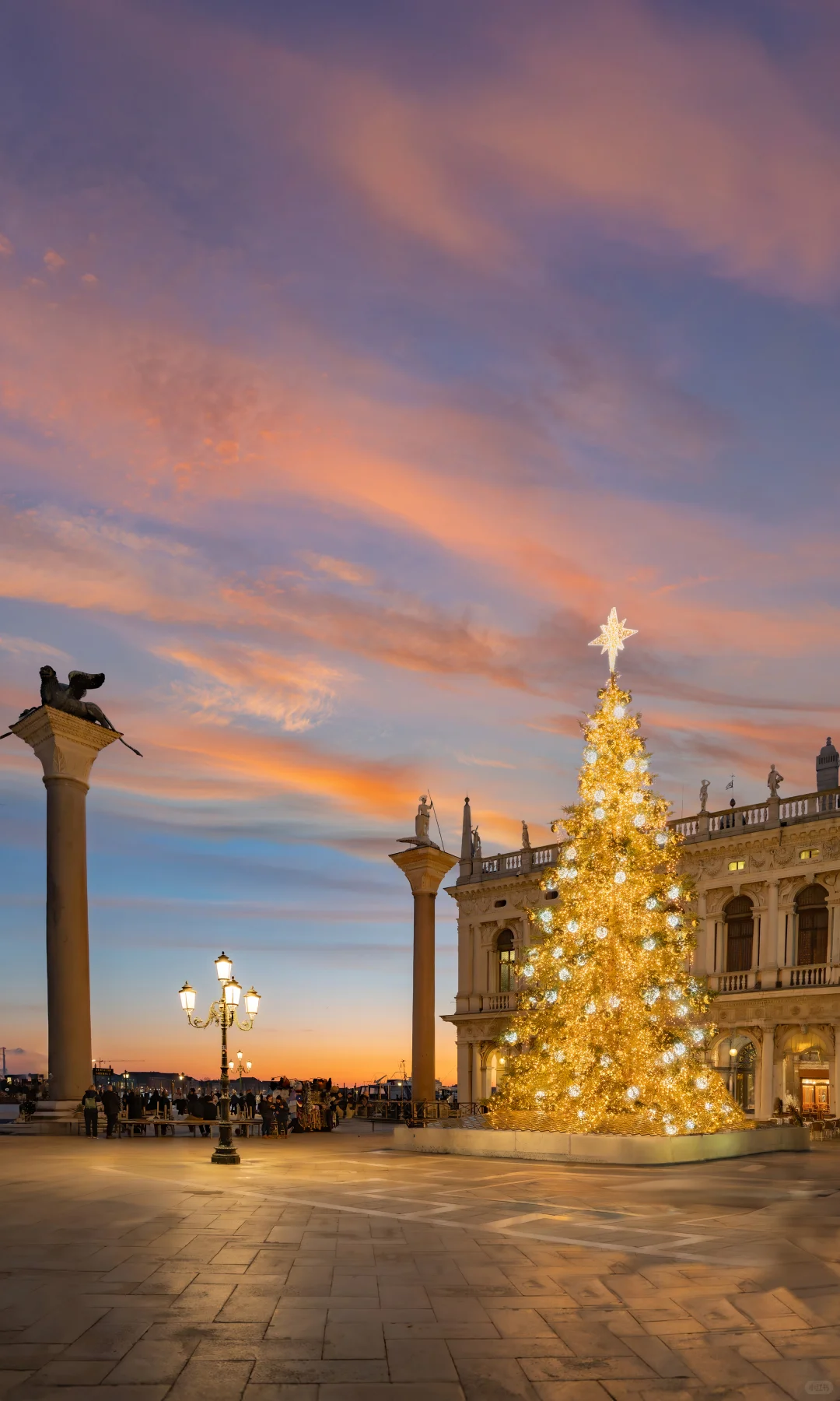 用中画幅哈苏拍照的第一年 📷